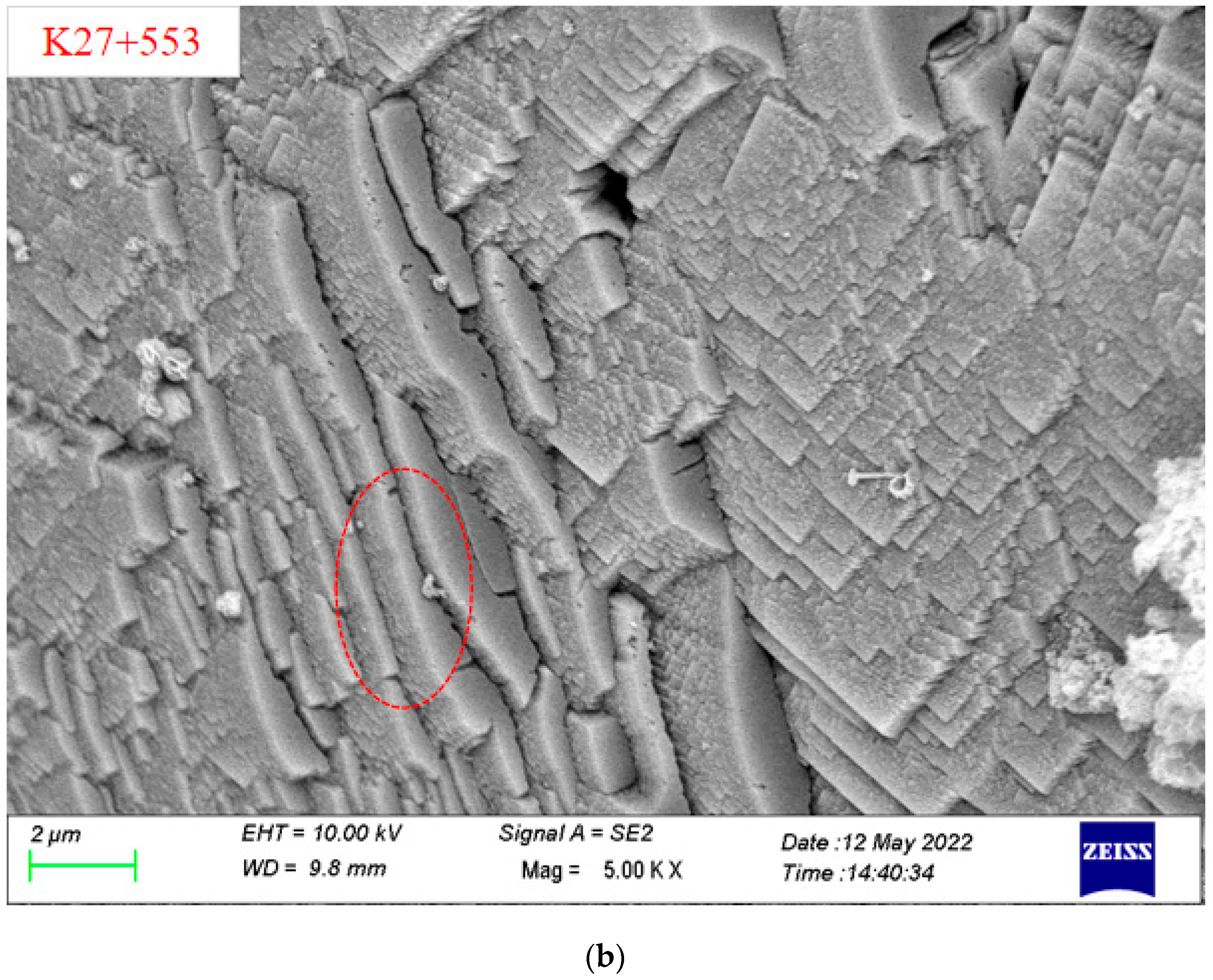 Ijerph 19 15471 g004e Ijerph 19 15471 g004e