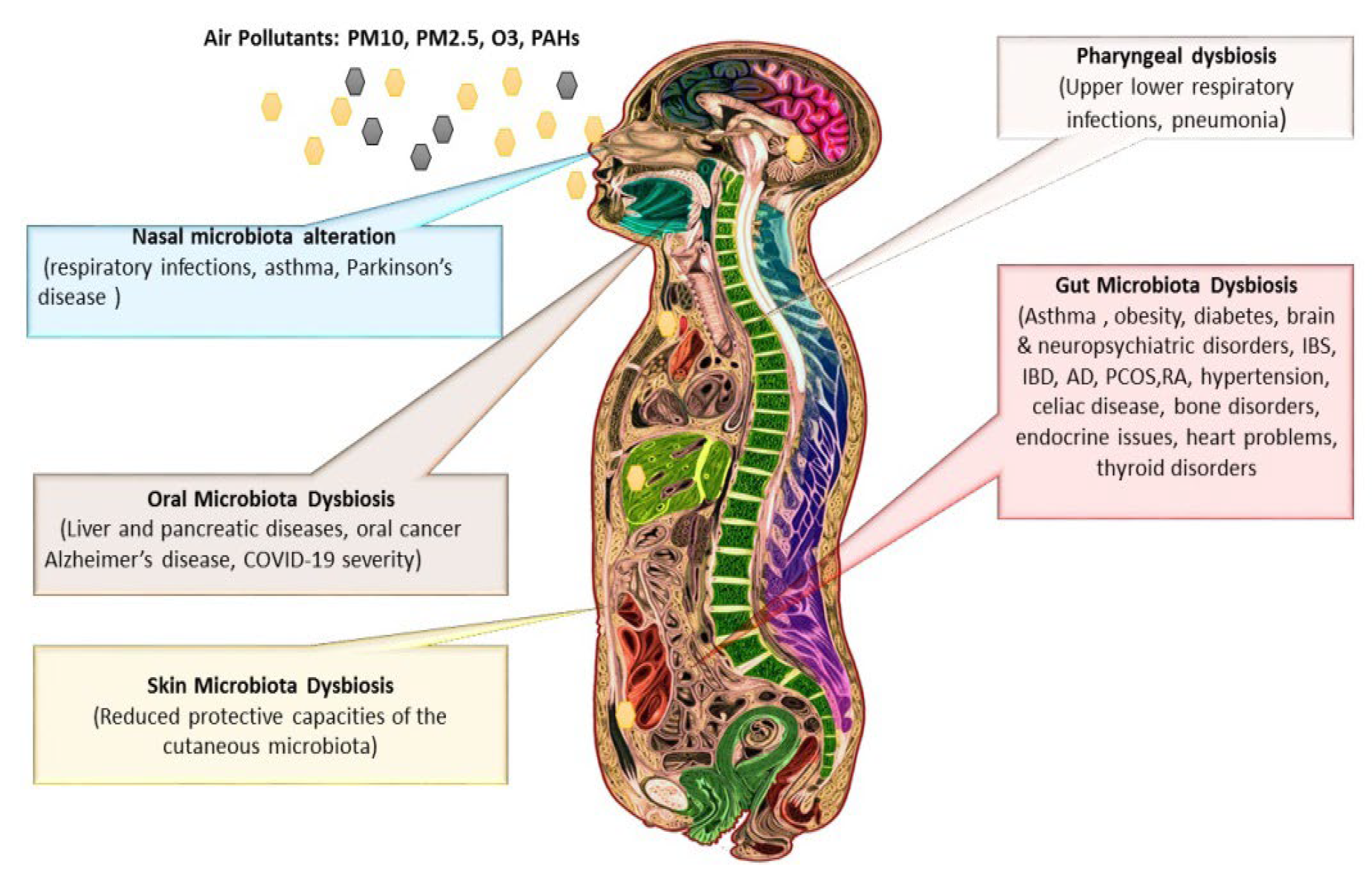 Ijerph 19 15494 g003