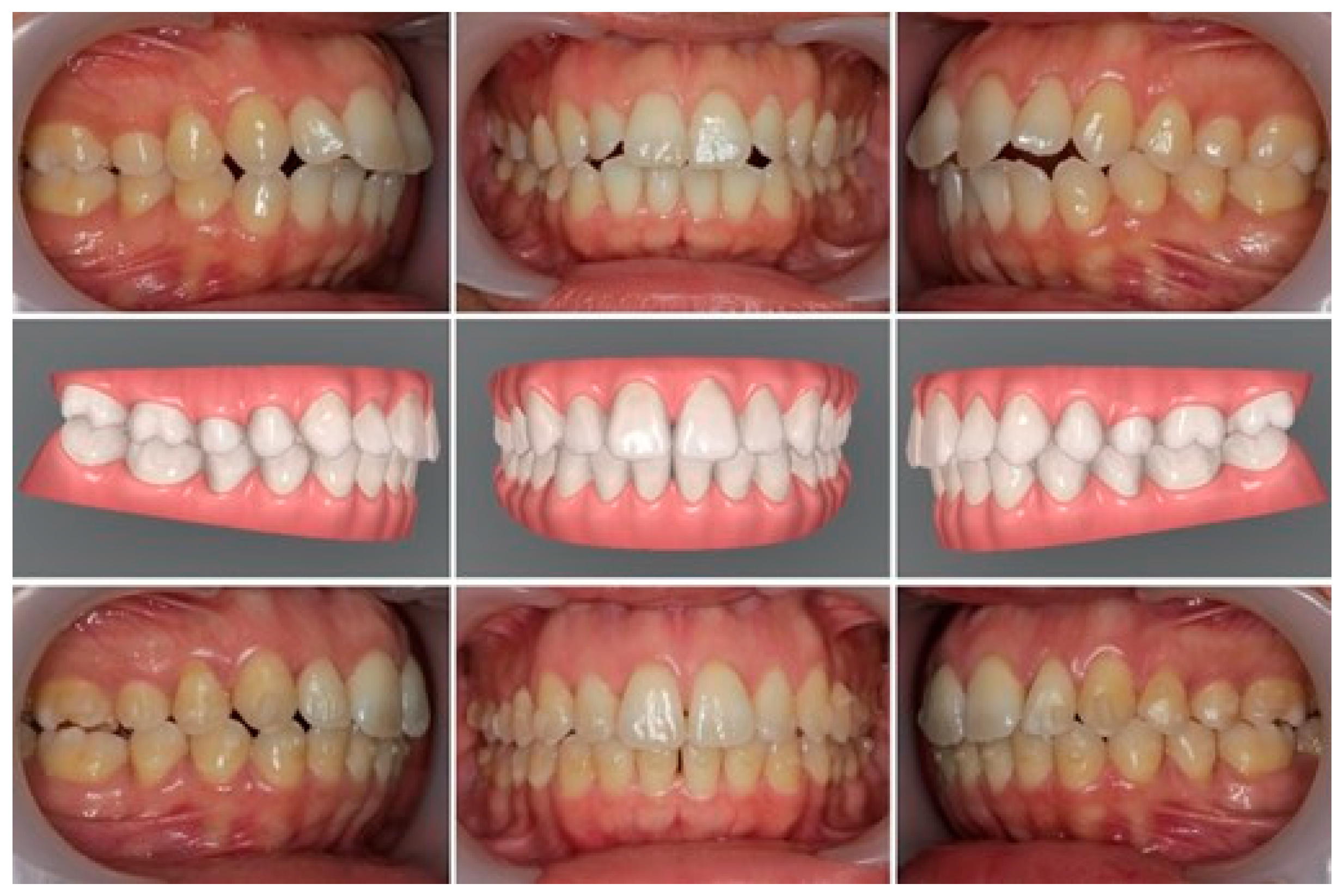 Ijerph 19 15498 g001