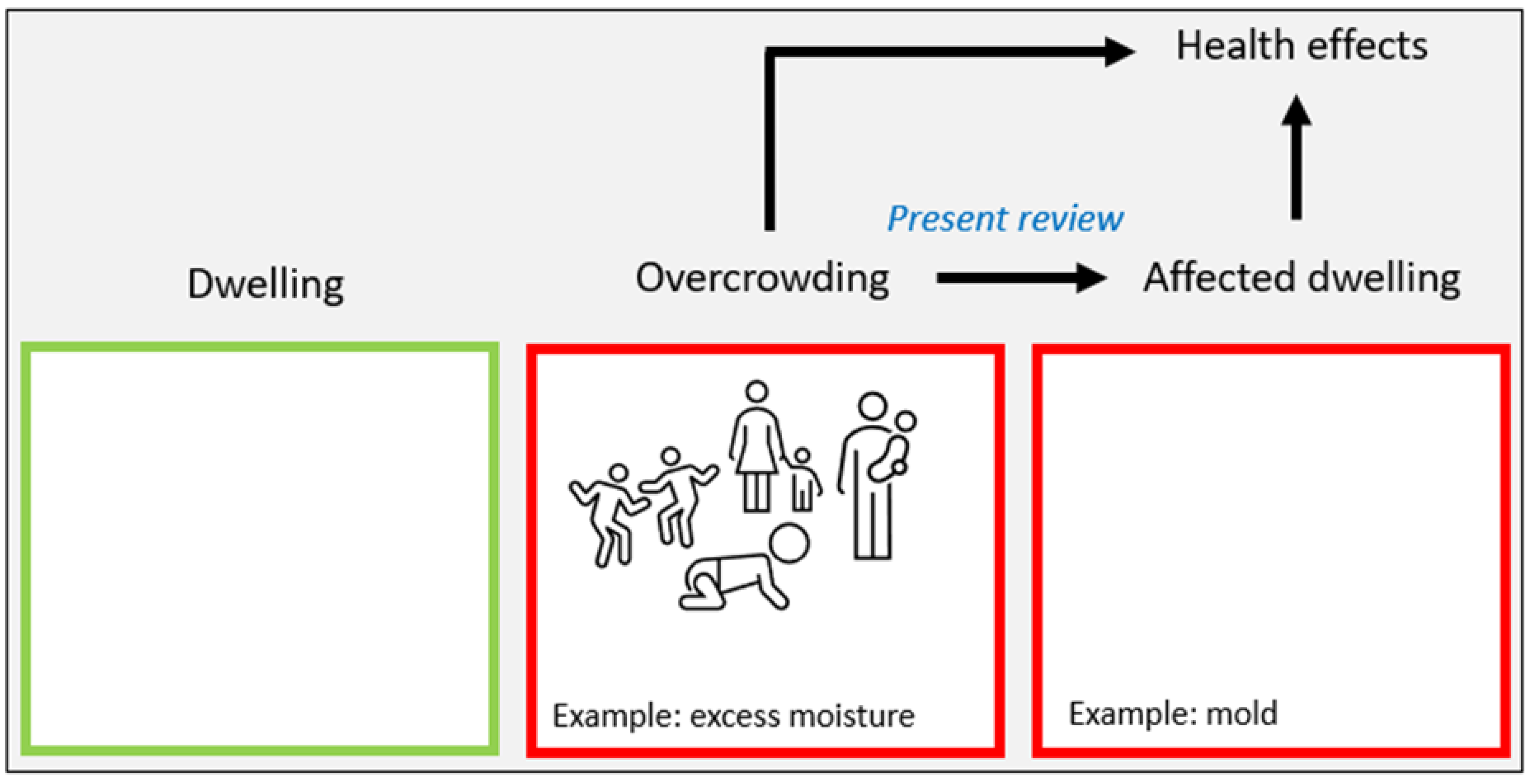 effects of overcrowding in plants