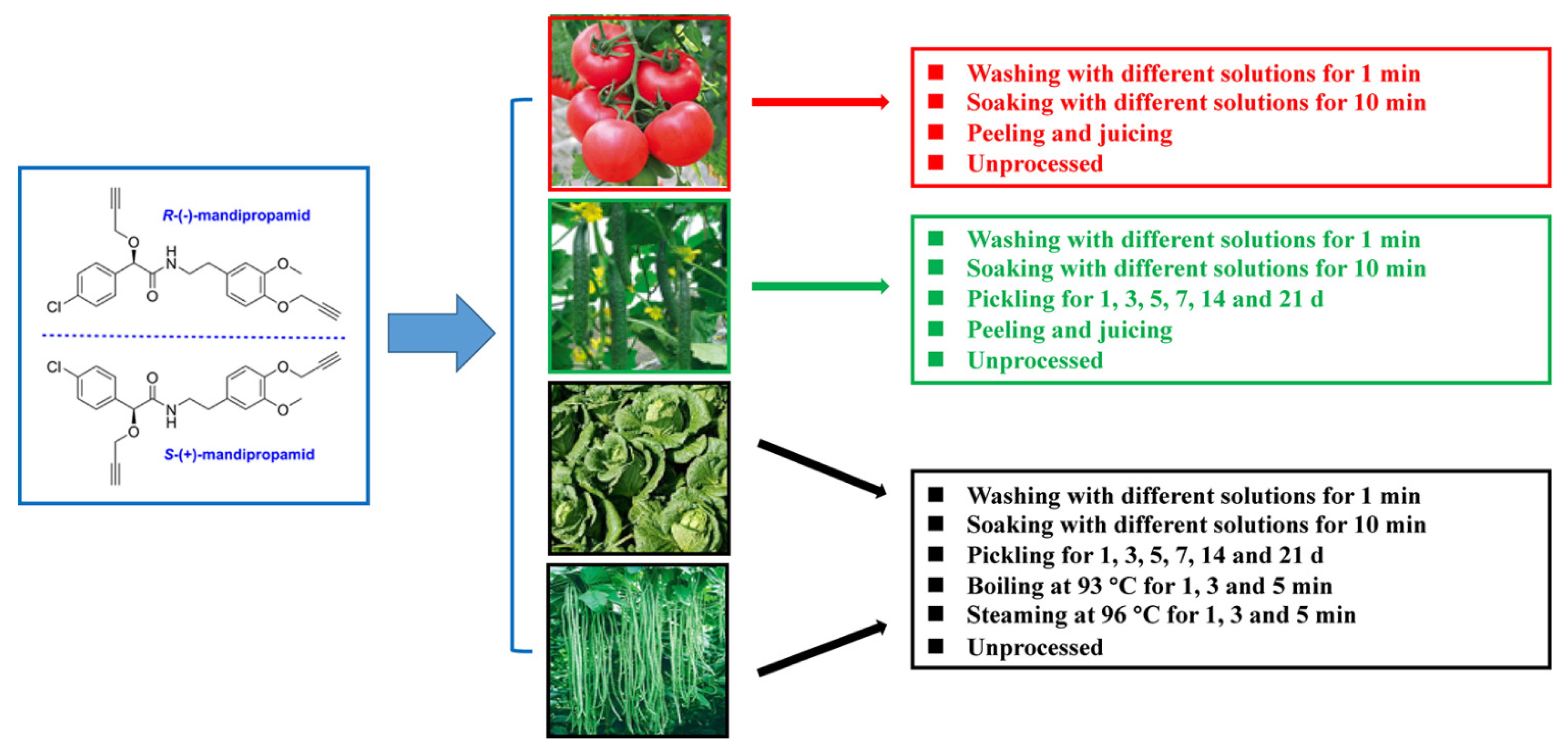 Ijerph 19 15543 g001