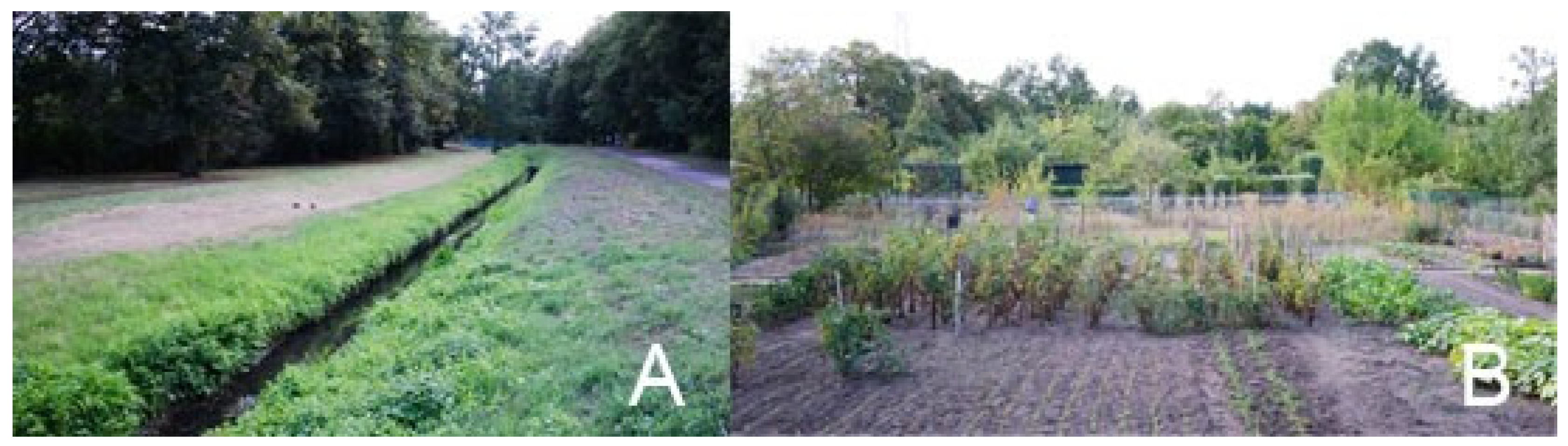 Ijerph 19 15597 g004