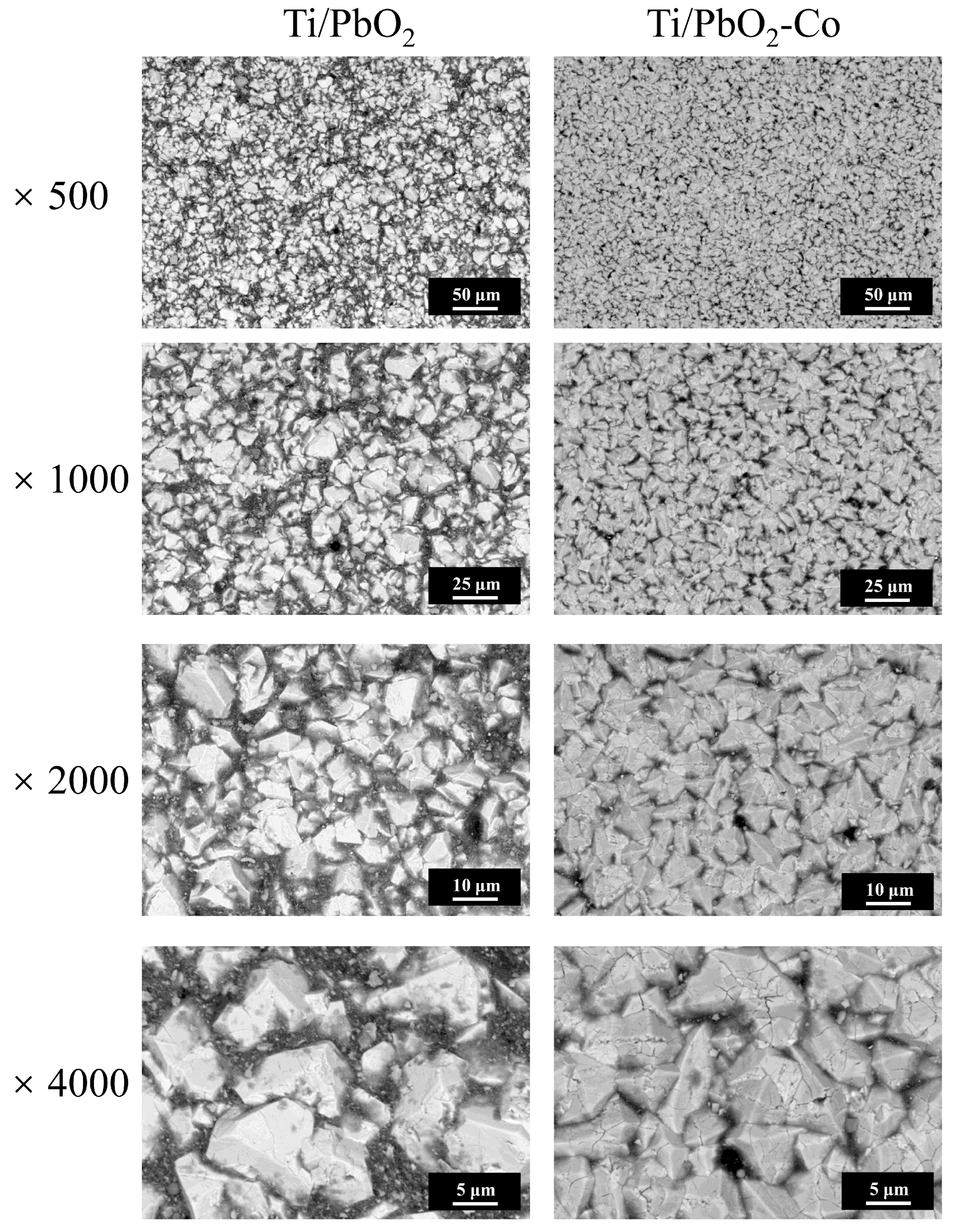 Ijerph 19 15632 g002