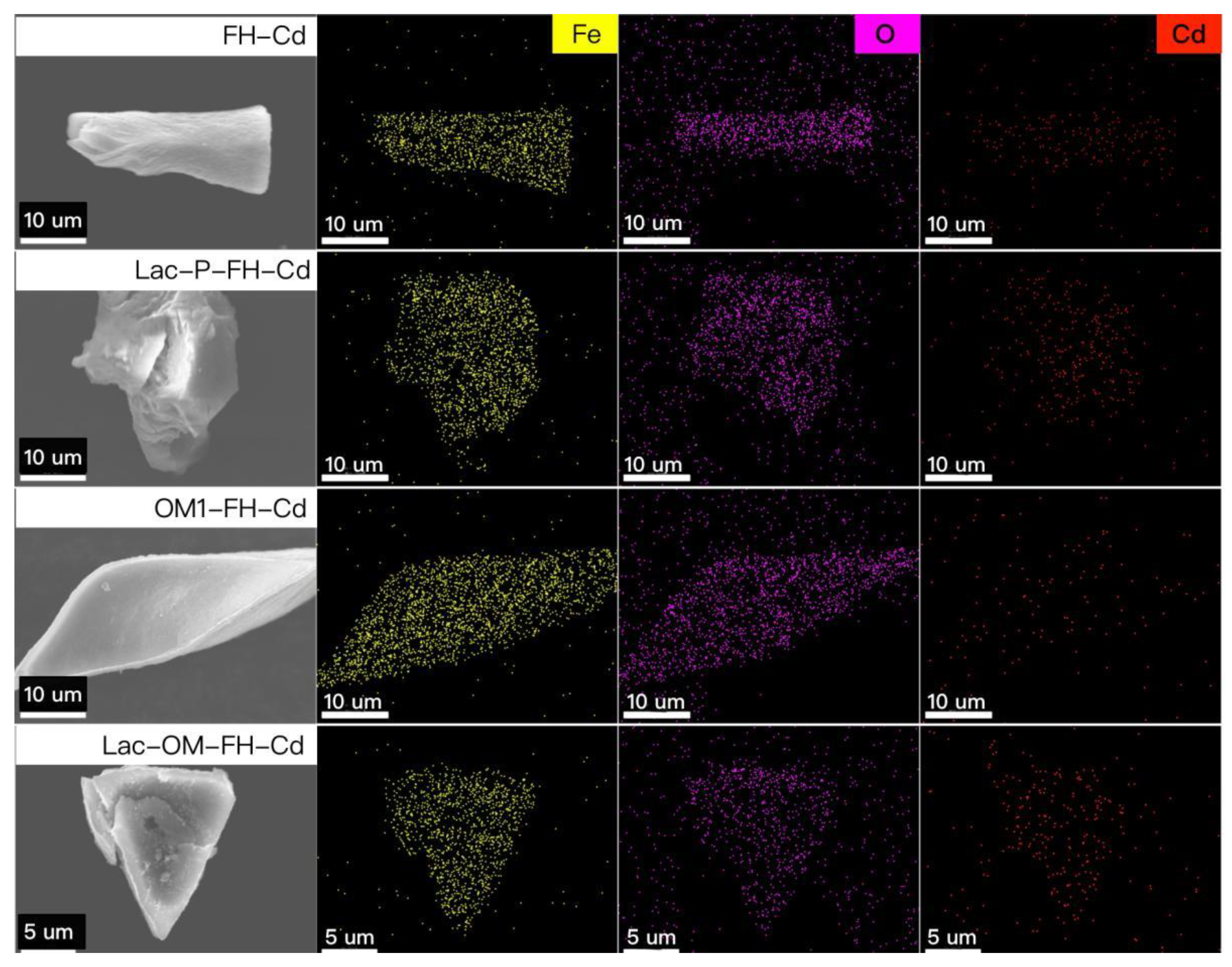 Ijerph 19 15650 g008 Ijerph 19 15650 g008