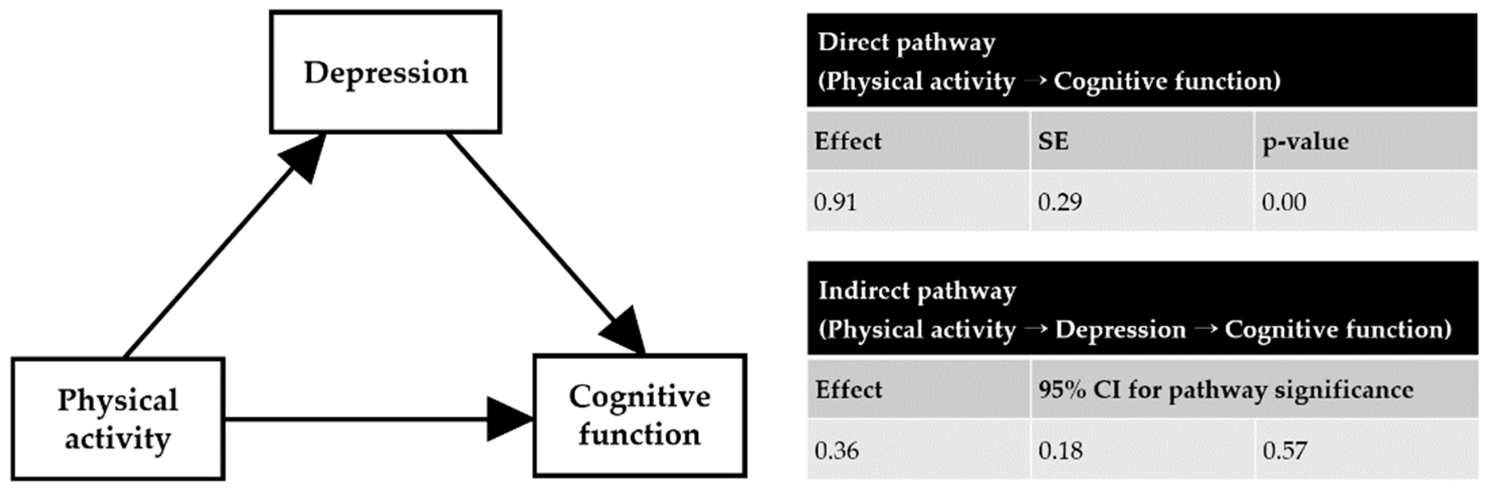 Ijerph 19 15655 g001