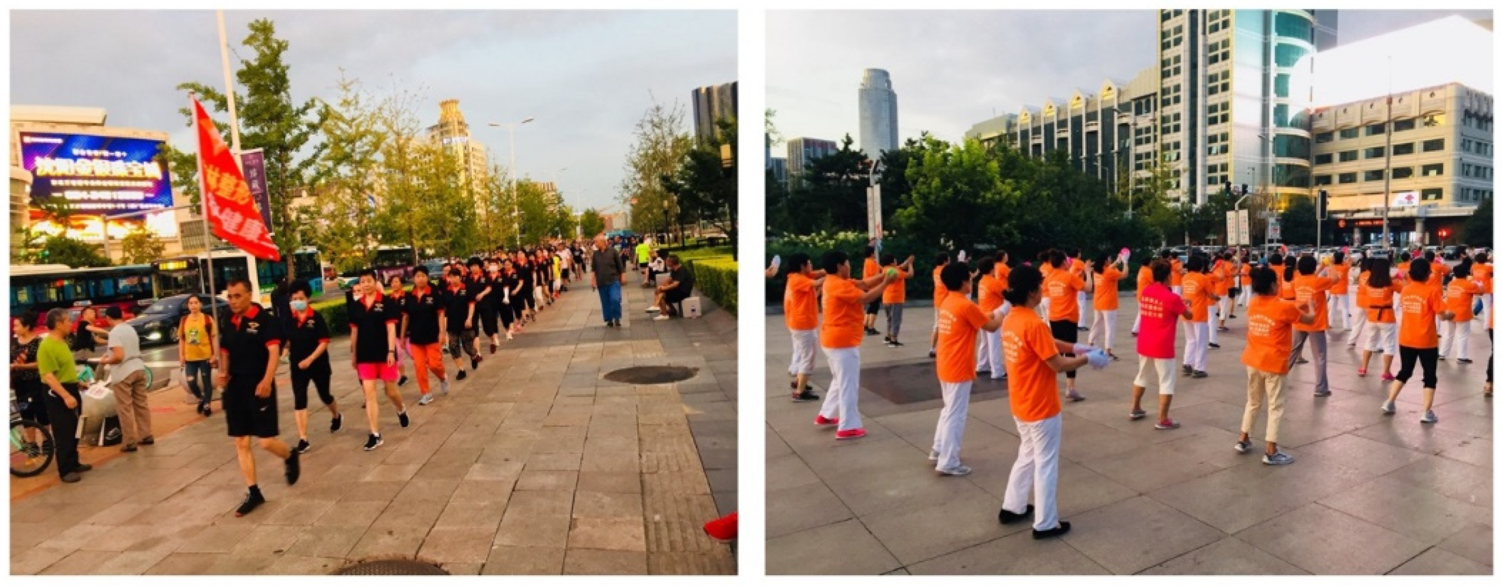 Ijerph 19 15693 g003 550