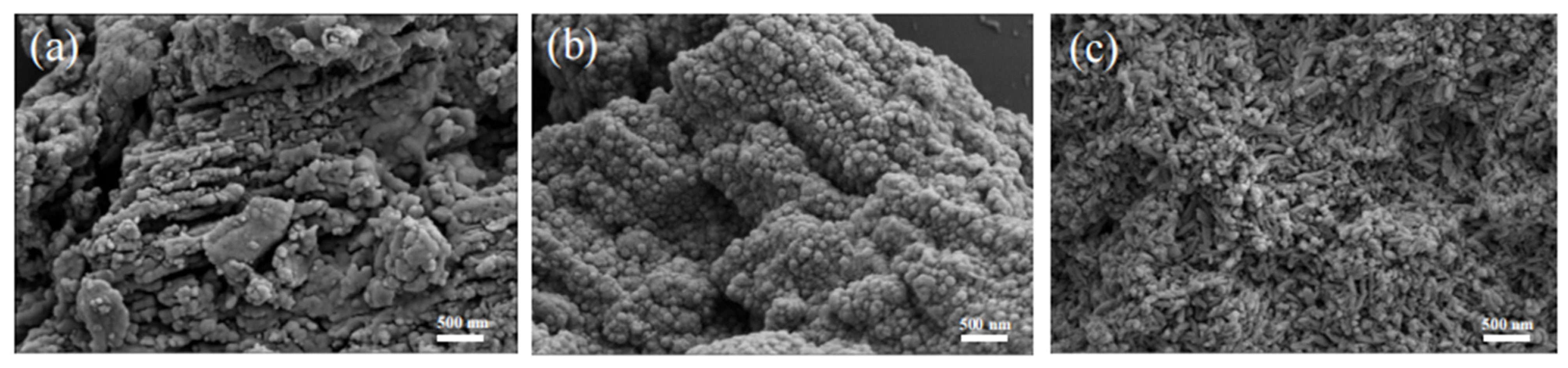 Ijerph 19 15707 g001 Ijerph 19 15707 g001