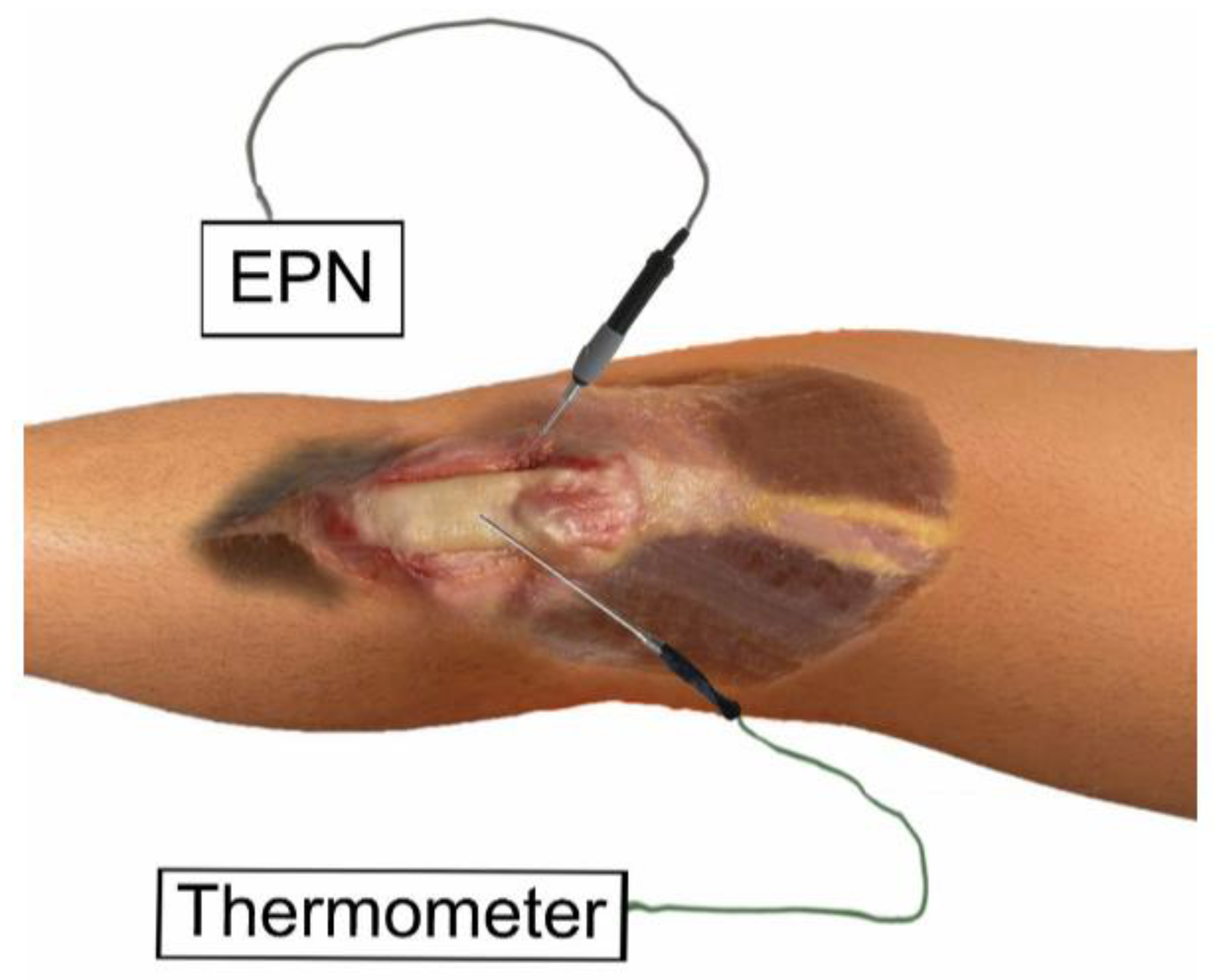 Ijerph 19 15738 g002