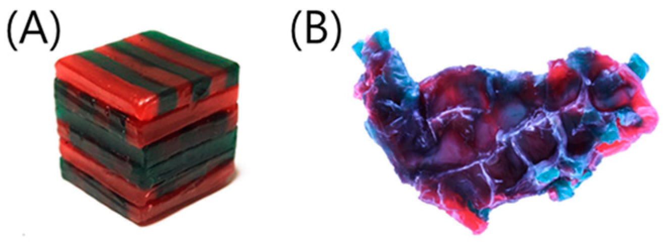 Ijerph 19 15742 g001