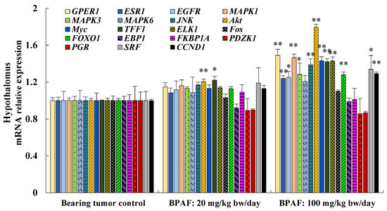 Bisphenol AF Promoted the Growth of Uterus and Activated