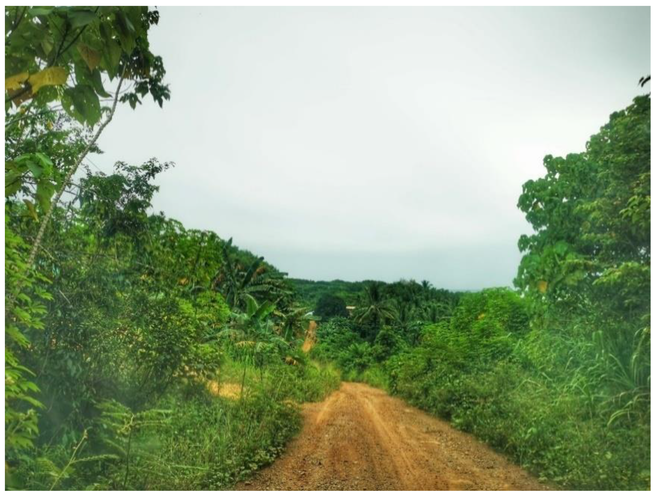 Ijerph 19 15764 g001 Ijerph 19 15764 g001