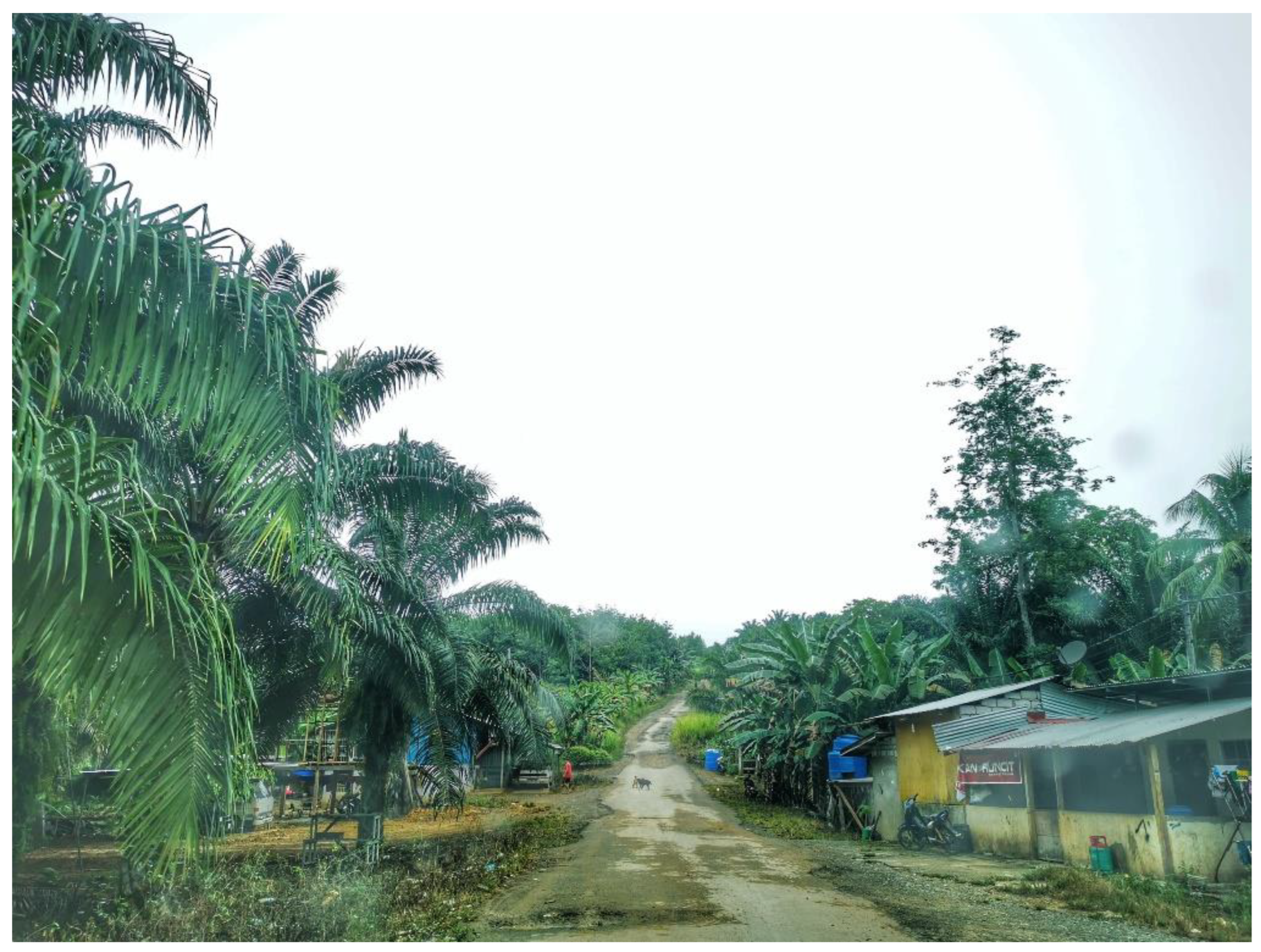 Ijerph 19 15764 g007 Ijerph 19 15764 g007