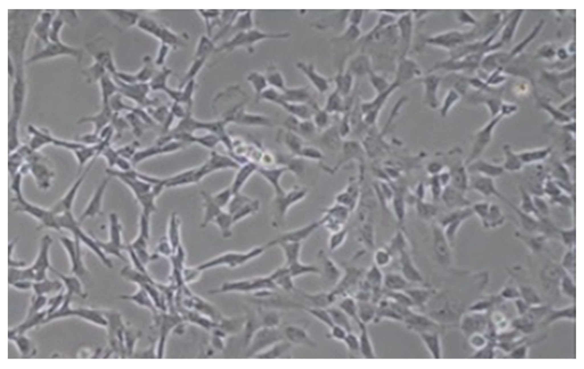 Ijerph 19 15786 g001 Ijerph 19 15786 g001