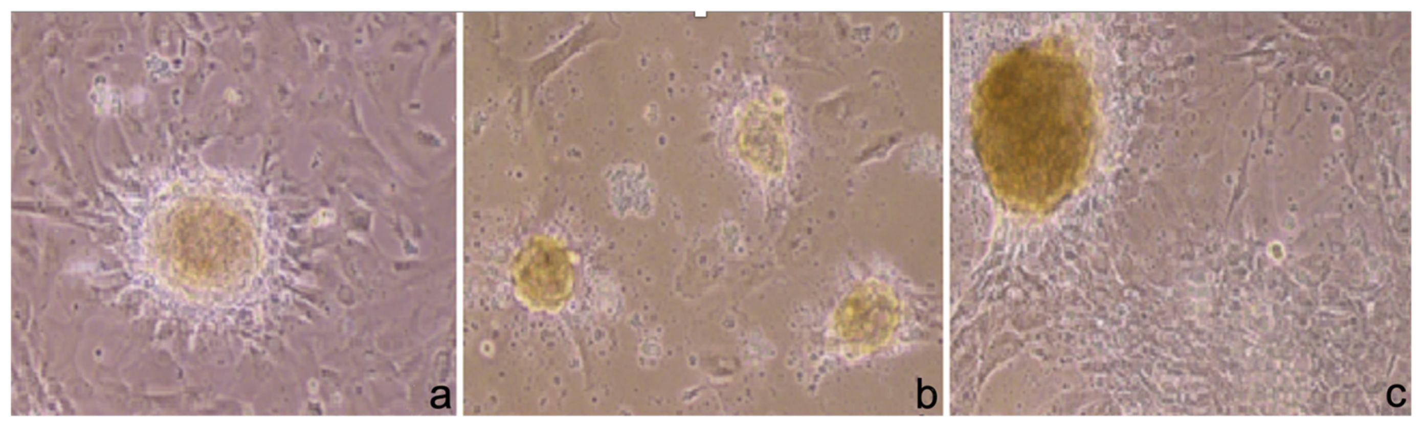 Ijerph 19 15786 g002 Ijerph 19 15786 g002