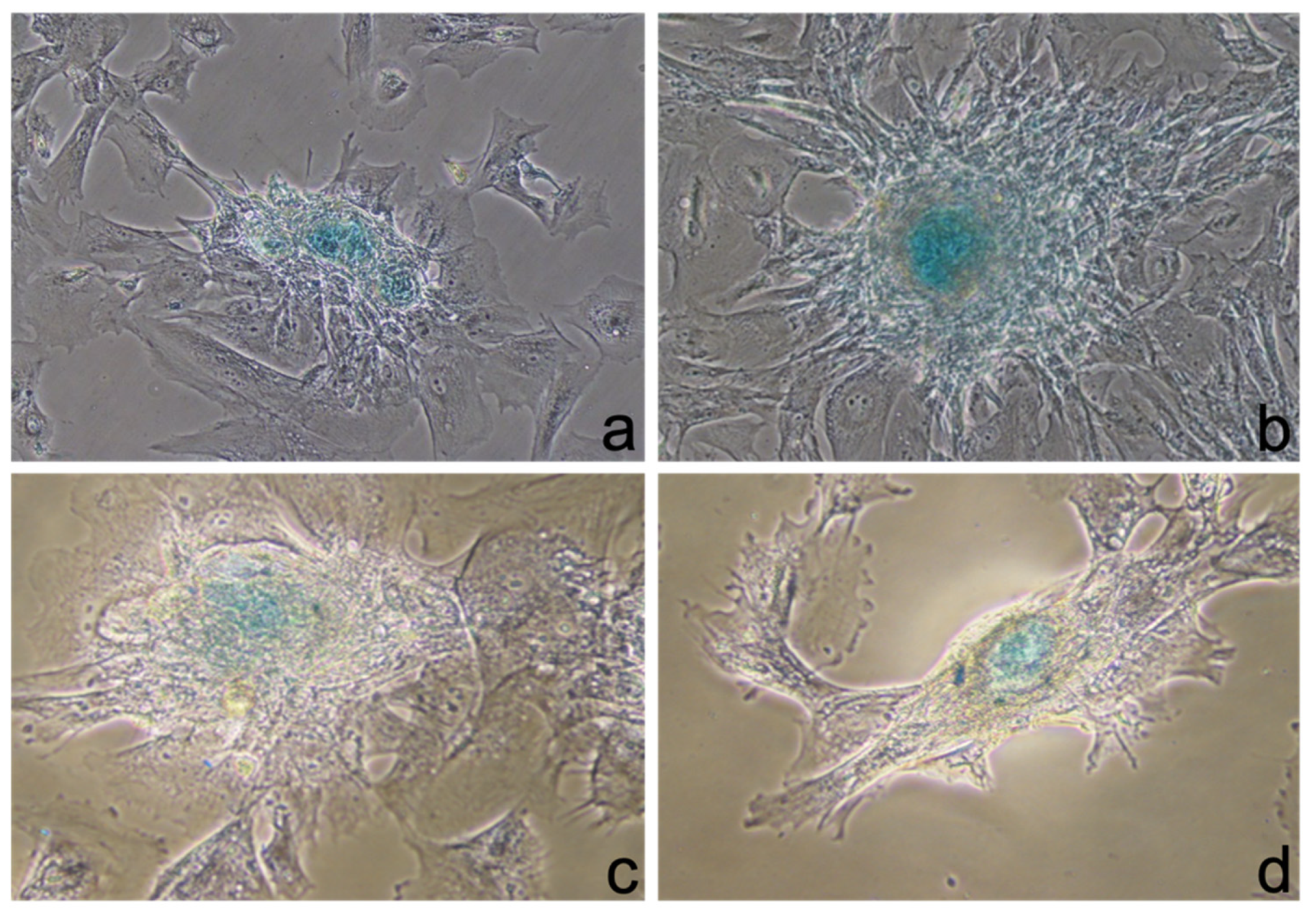 Ijerph 19 15786 g003 Ijerph 19 15786 g003