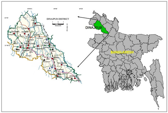 Climate Change Impacts Assessment Using Crop Simulation Model 