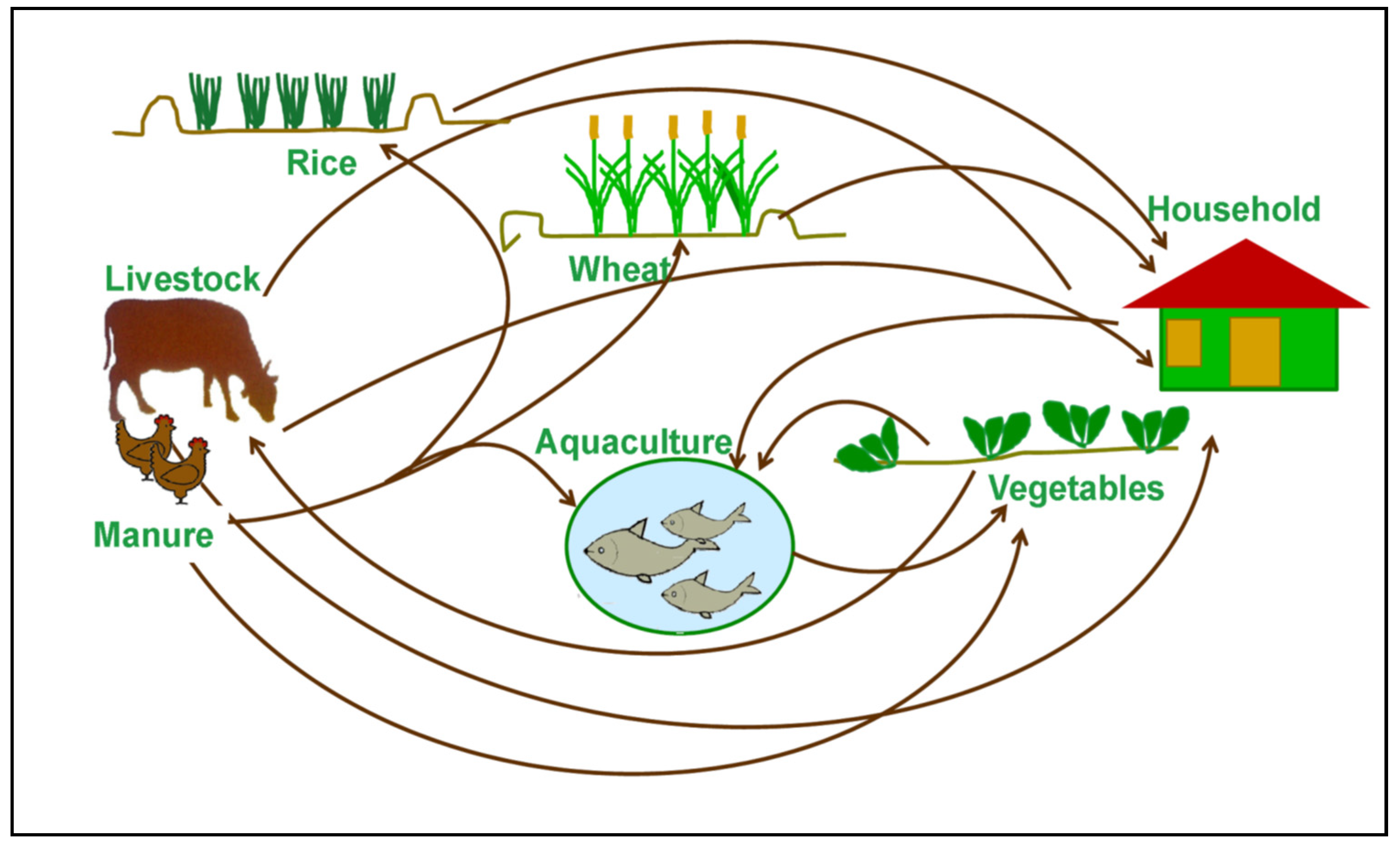 Ijerph 19 15829 g002