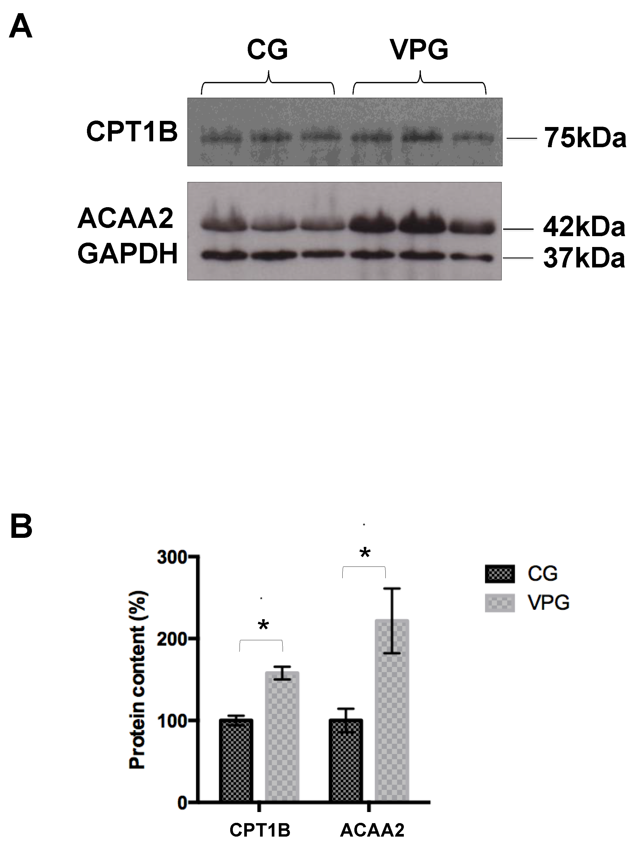 Ijerph 19 15835 g002