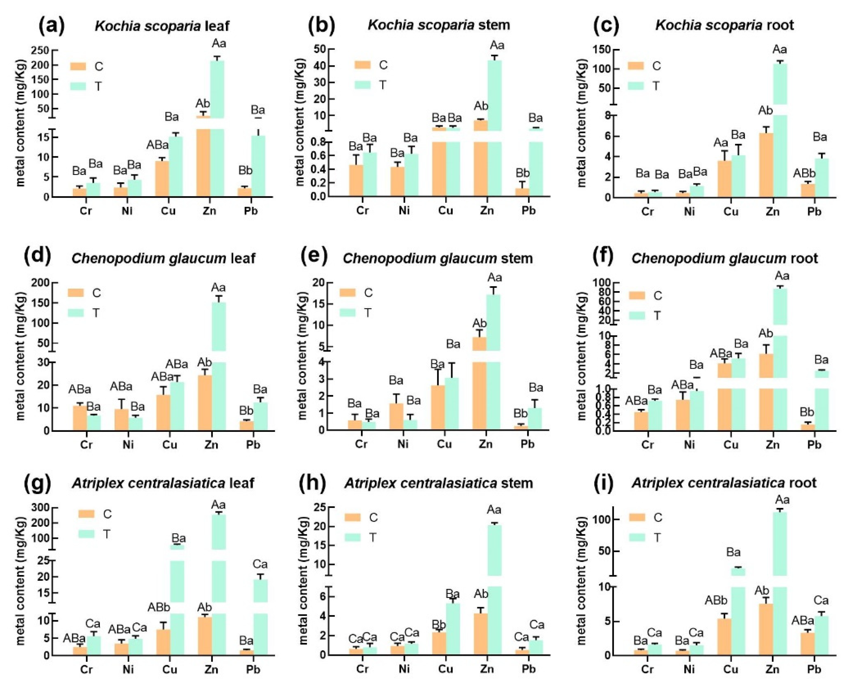 Ijerph 19 15873 g001 Ijerph 19 15873 g001