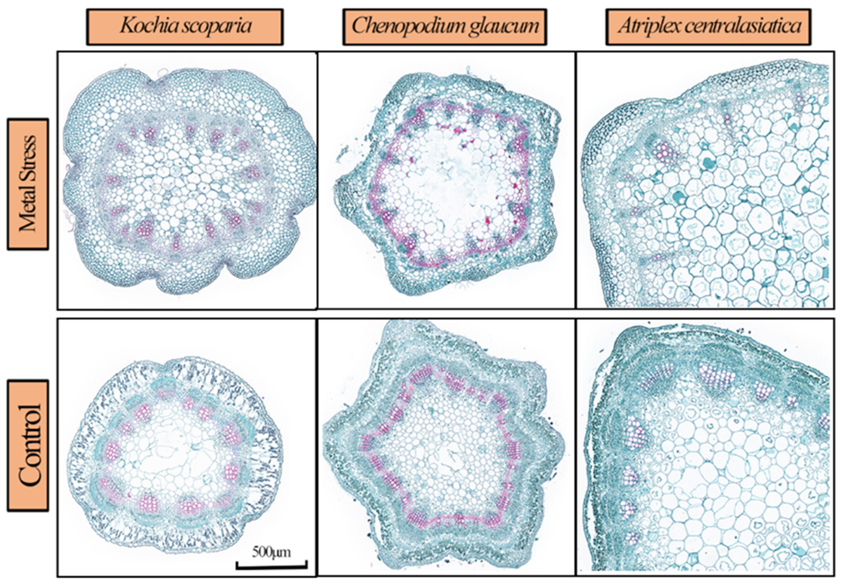 Ijerph 19 15873 g006 Ijerph 19 15873 g006