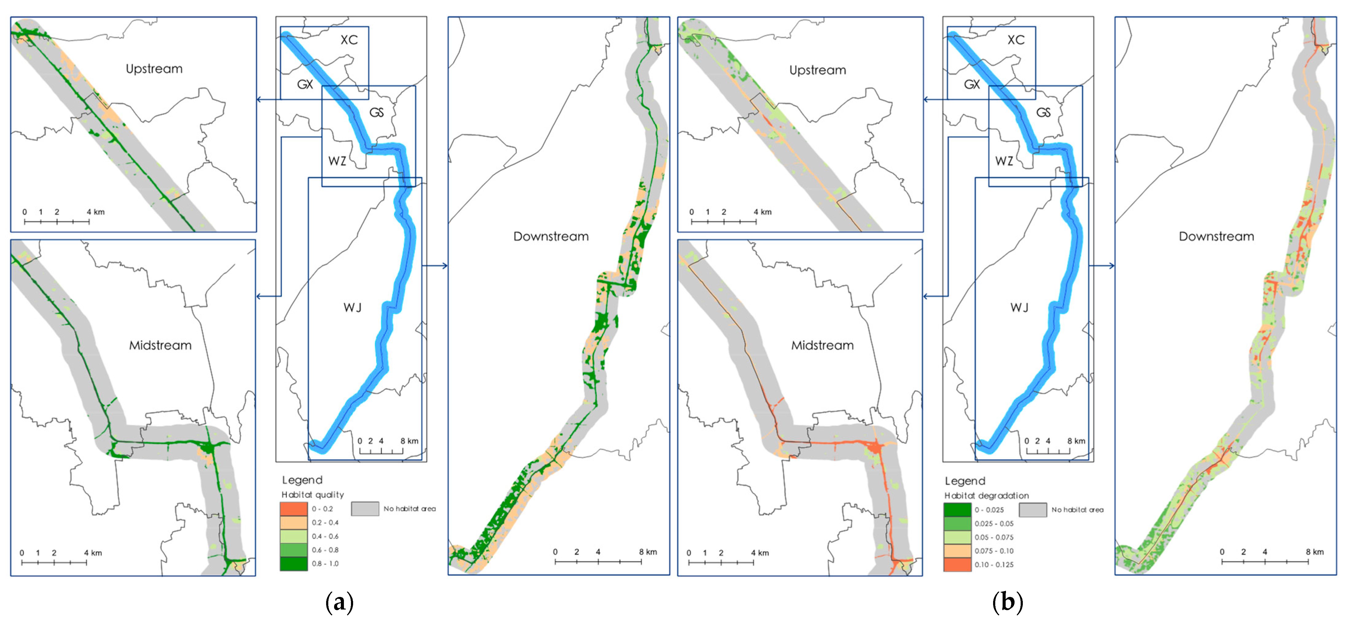 Strategies for Restoring and Managing Ecological Corridors