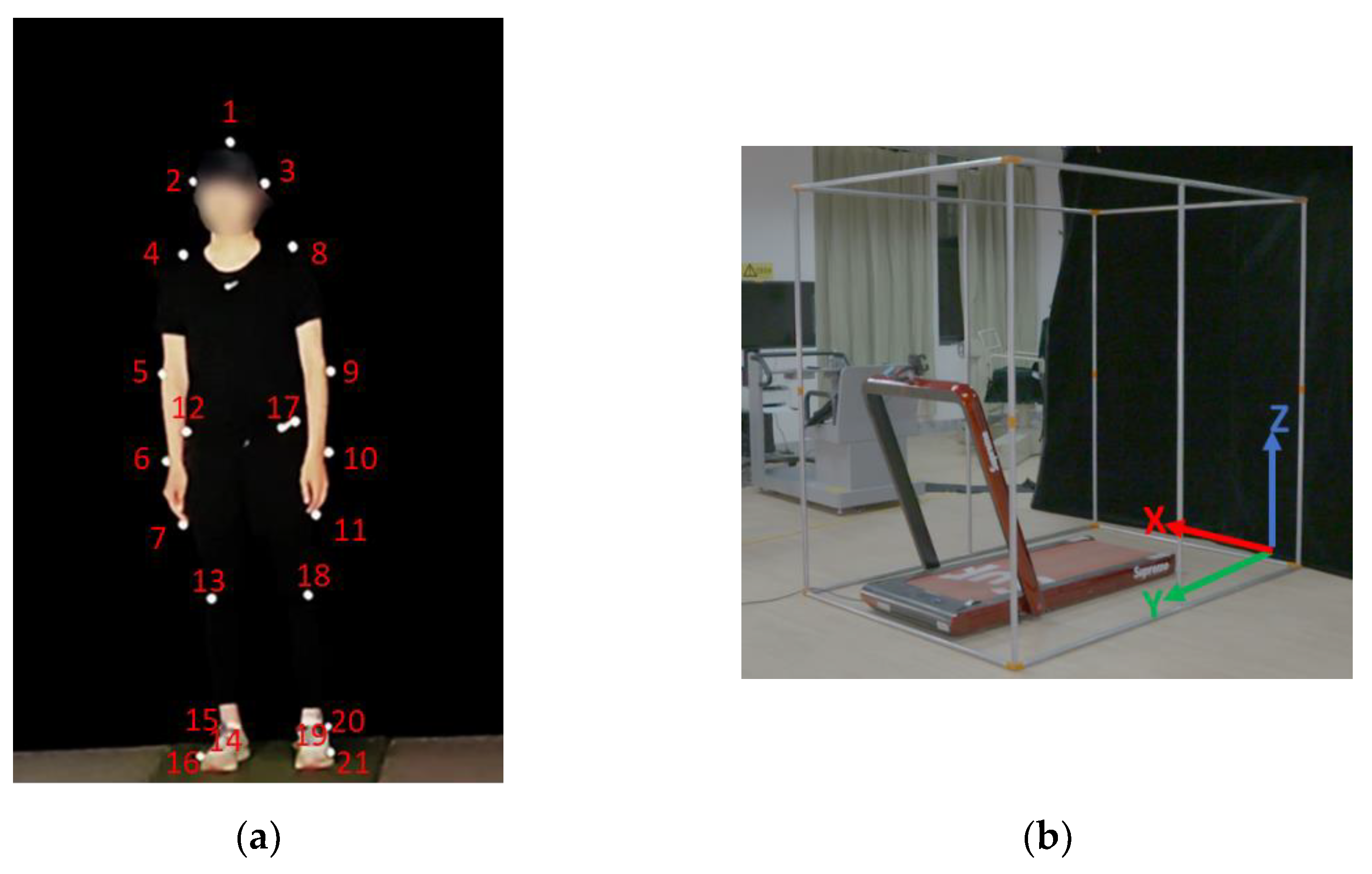 Ijerph 19 15924 g001