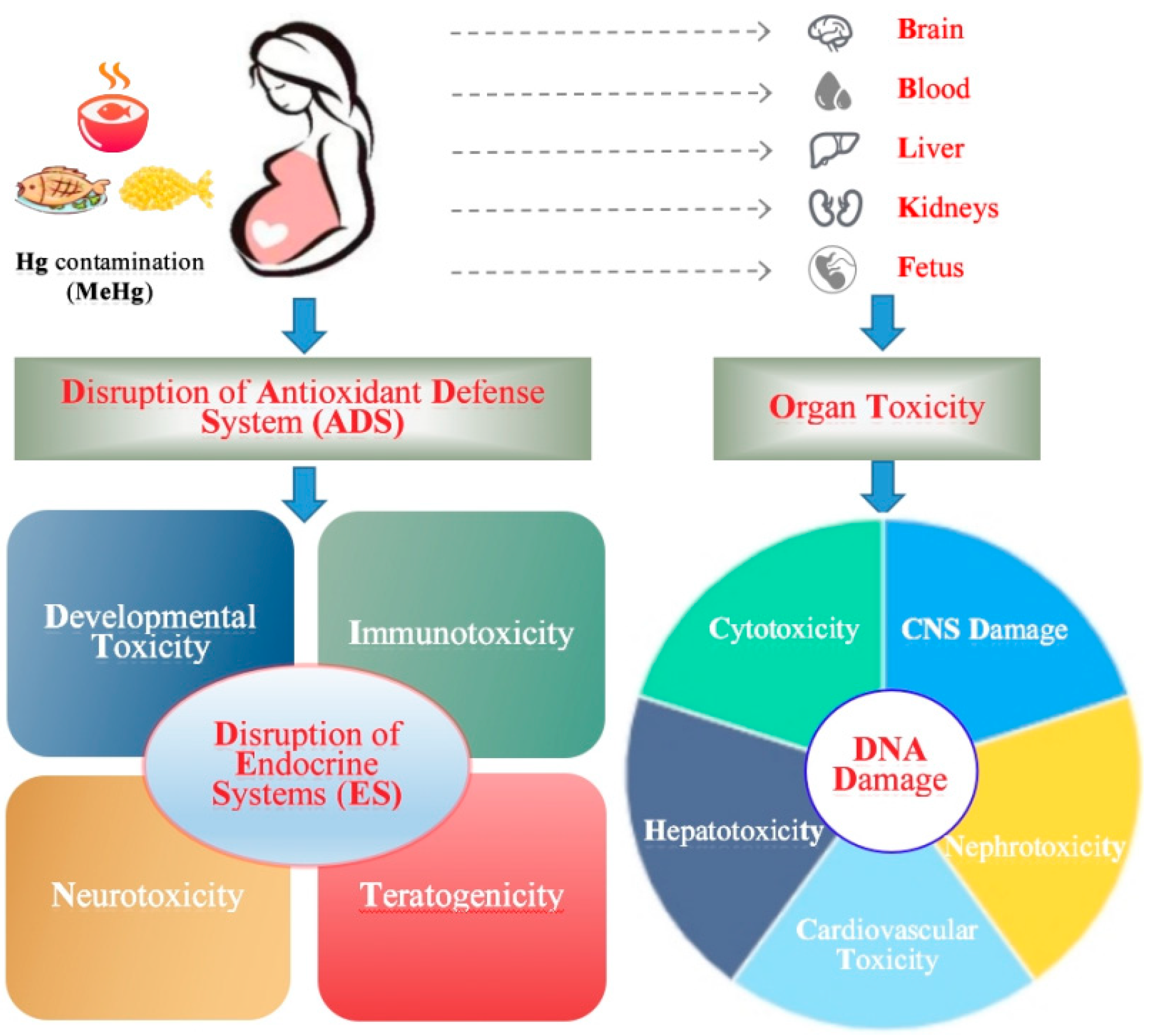 Ijerph 19 15929 g002 Ijerph 19 15929 g002