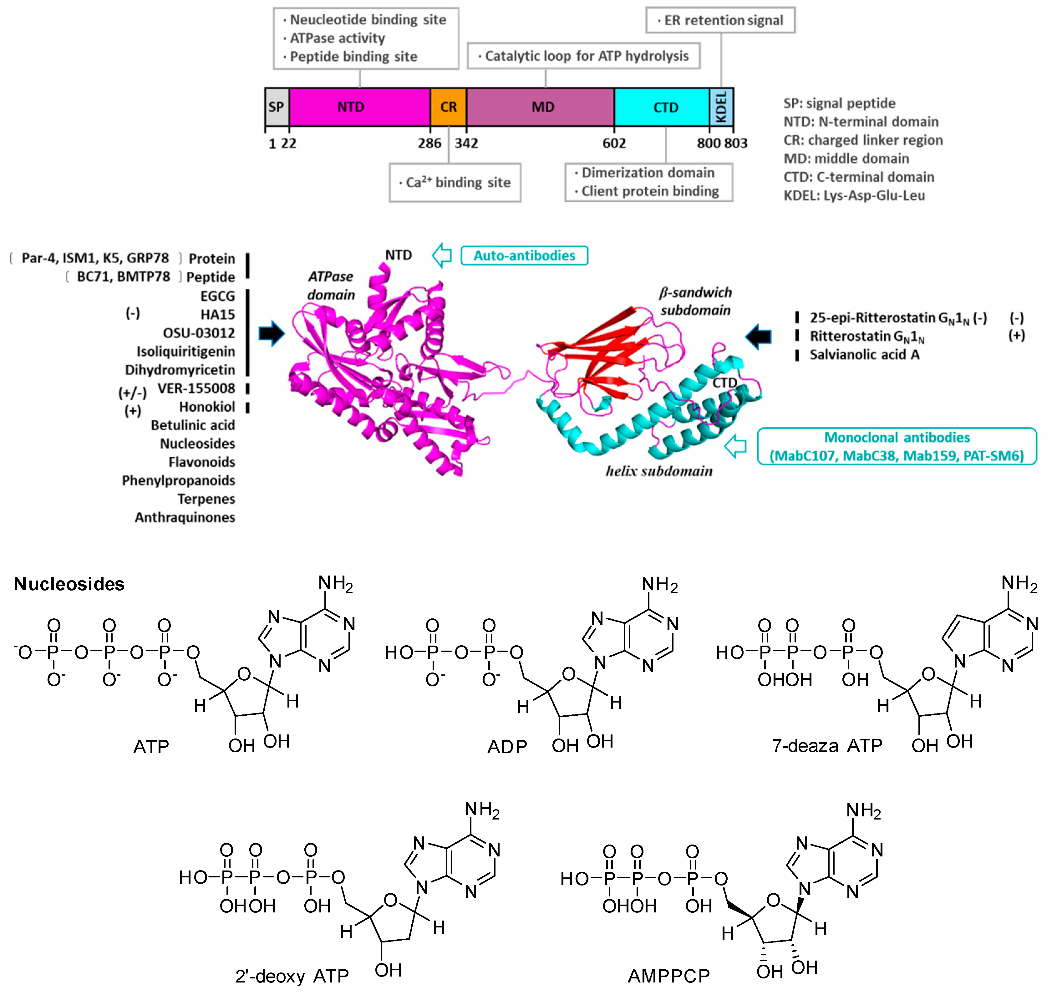 Ijerph 19 15965 g004