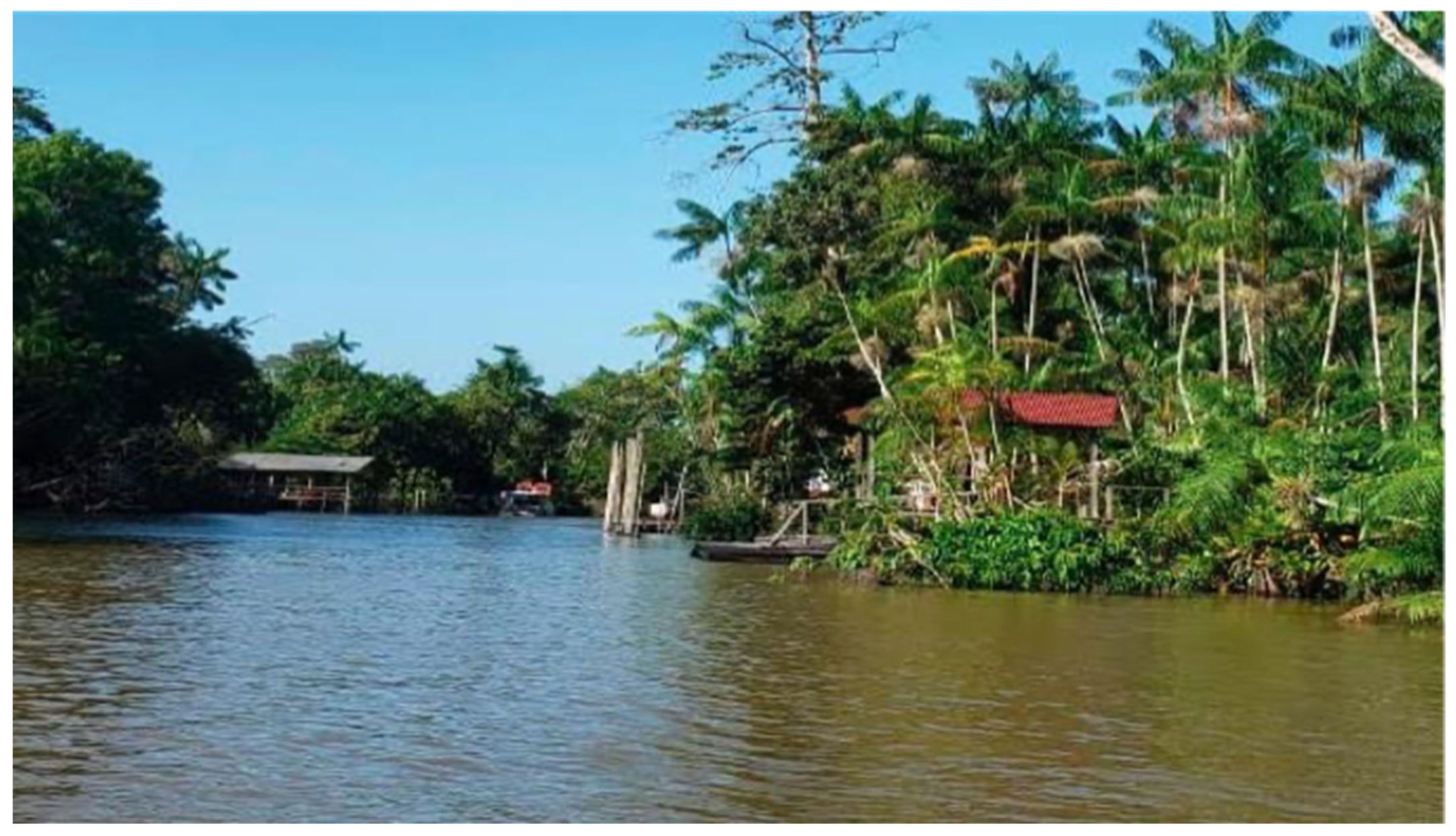 Ijerph 19 15969 g001