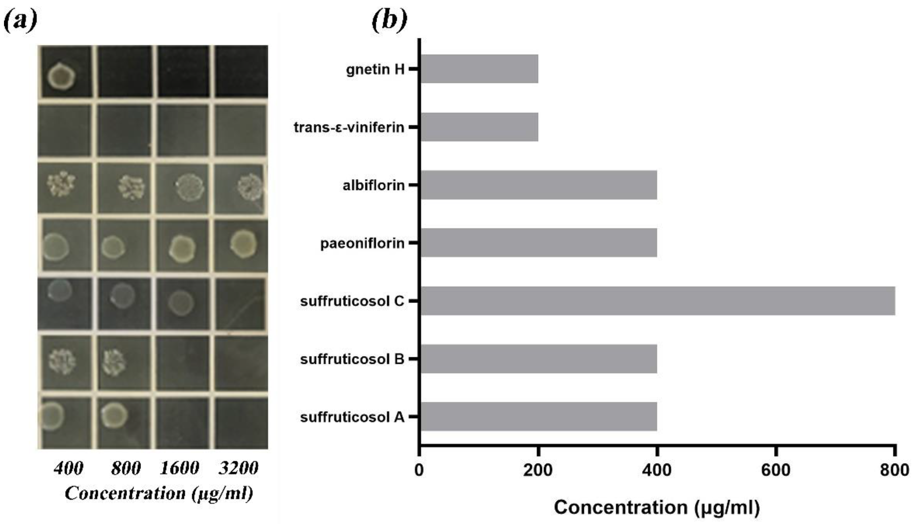 Ijerph 19 16024 g001