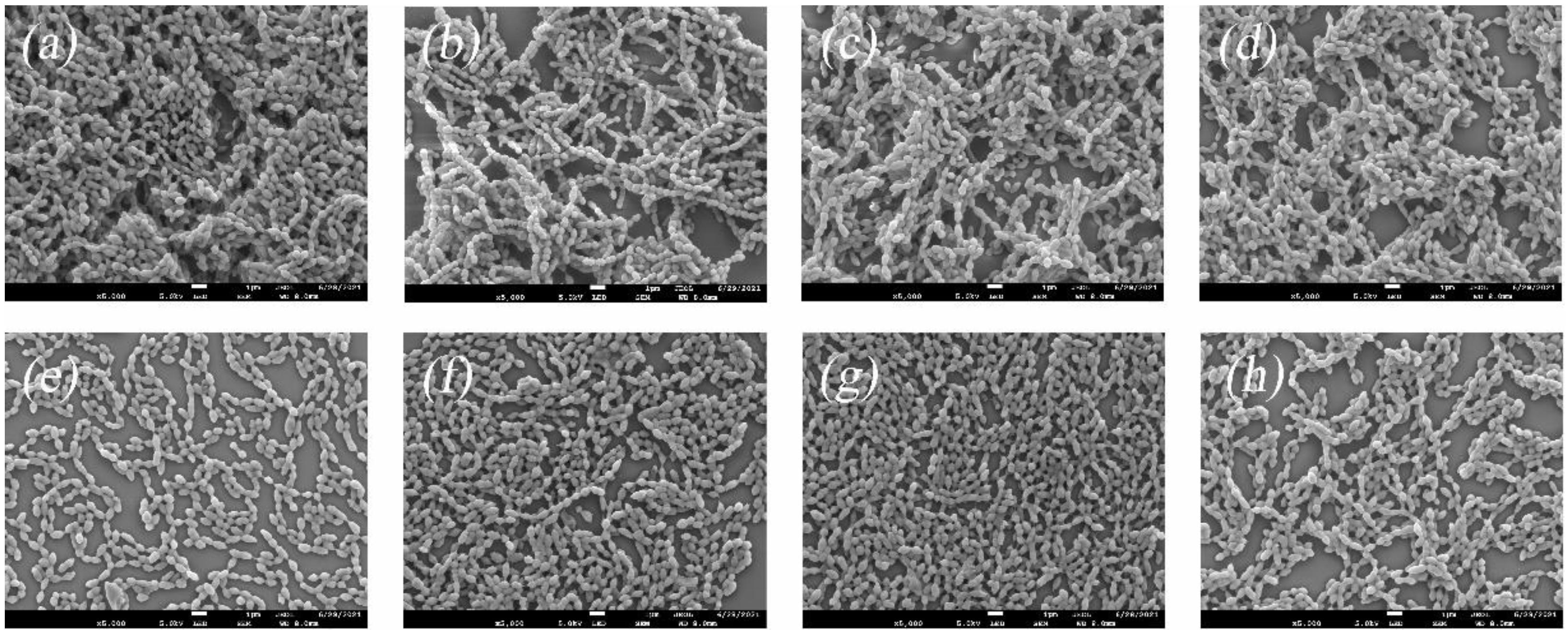 Ijerph 19 16024 g003