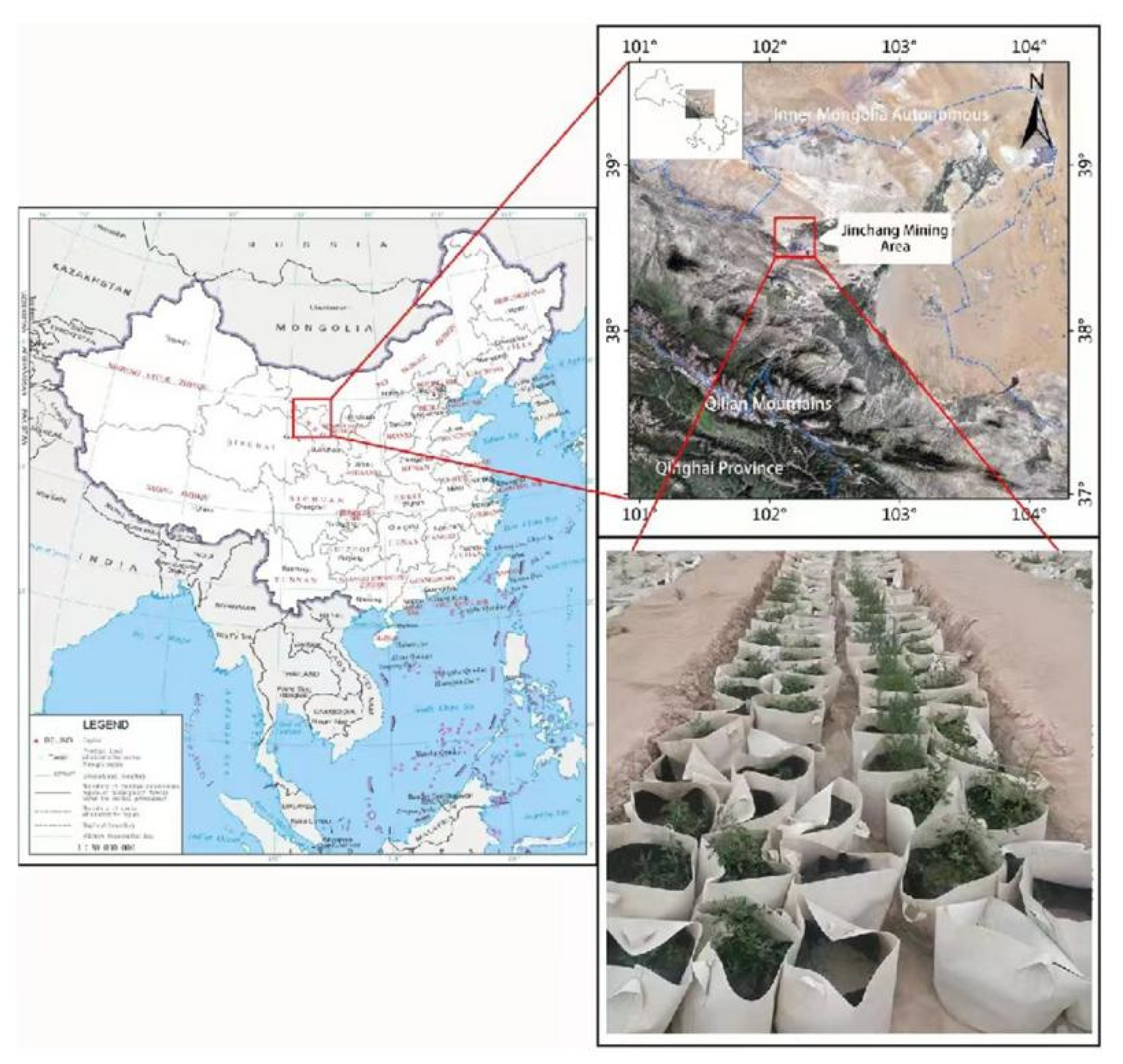 Ijerph 19 16035 g001