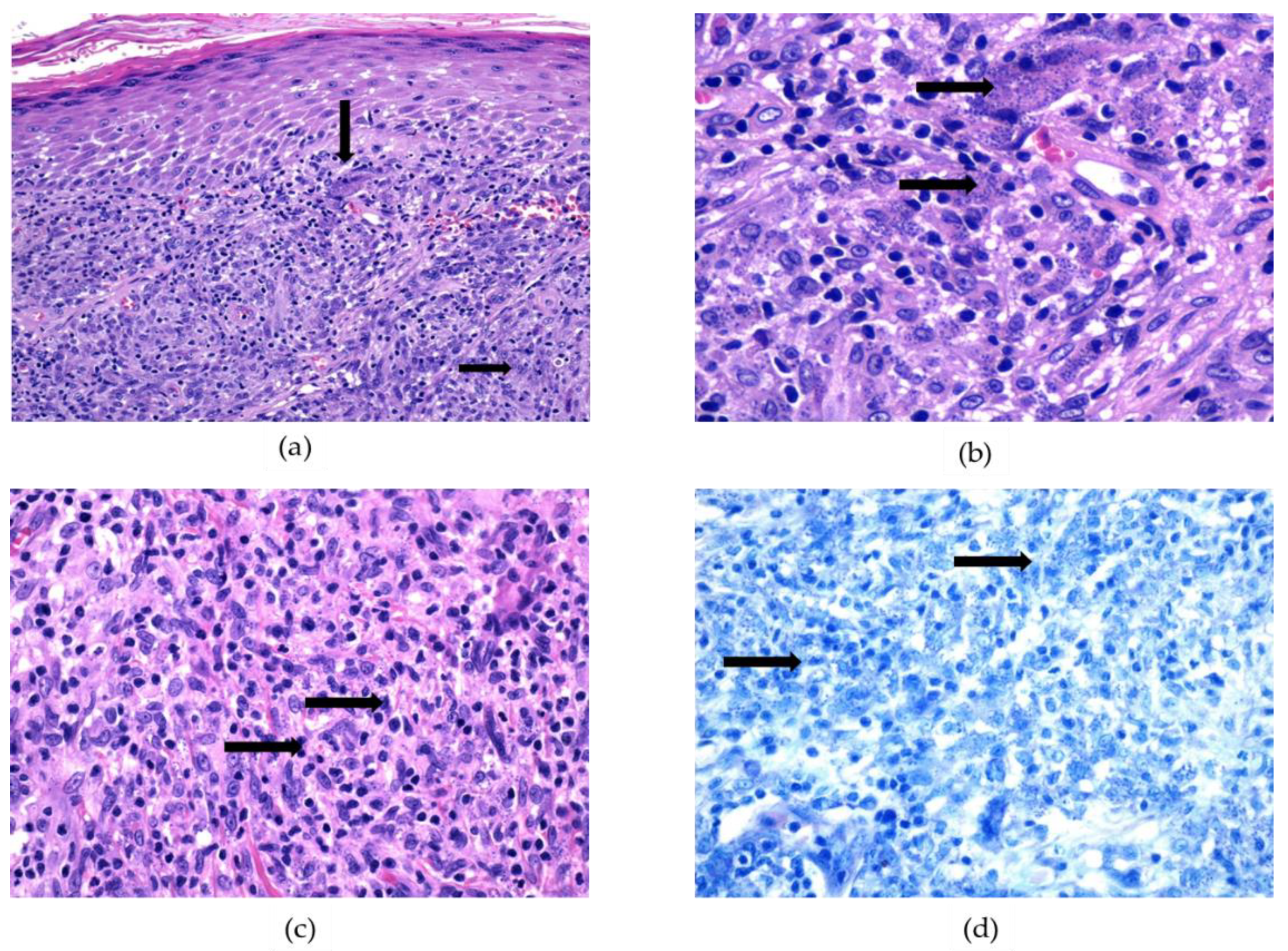 Ijerph 19 16047 g006 Ijerph 19 16047 g006