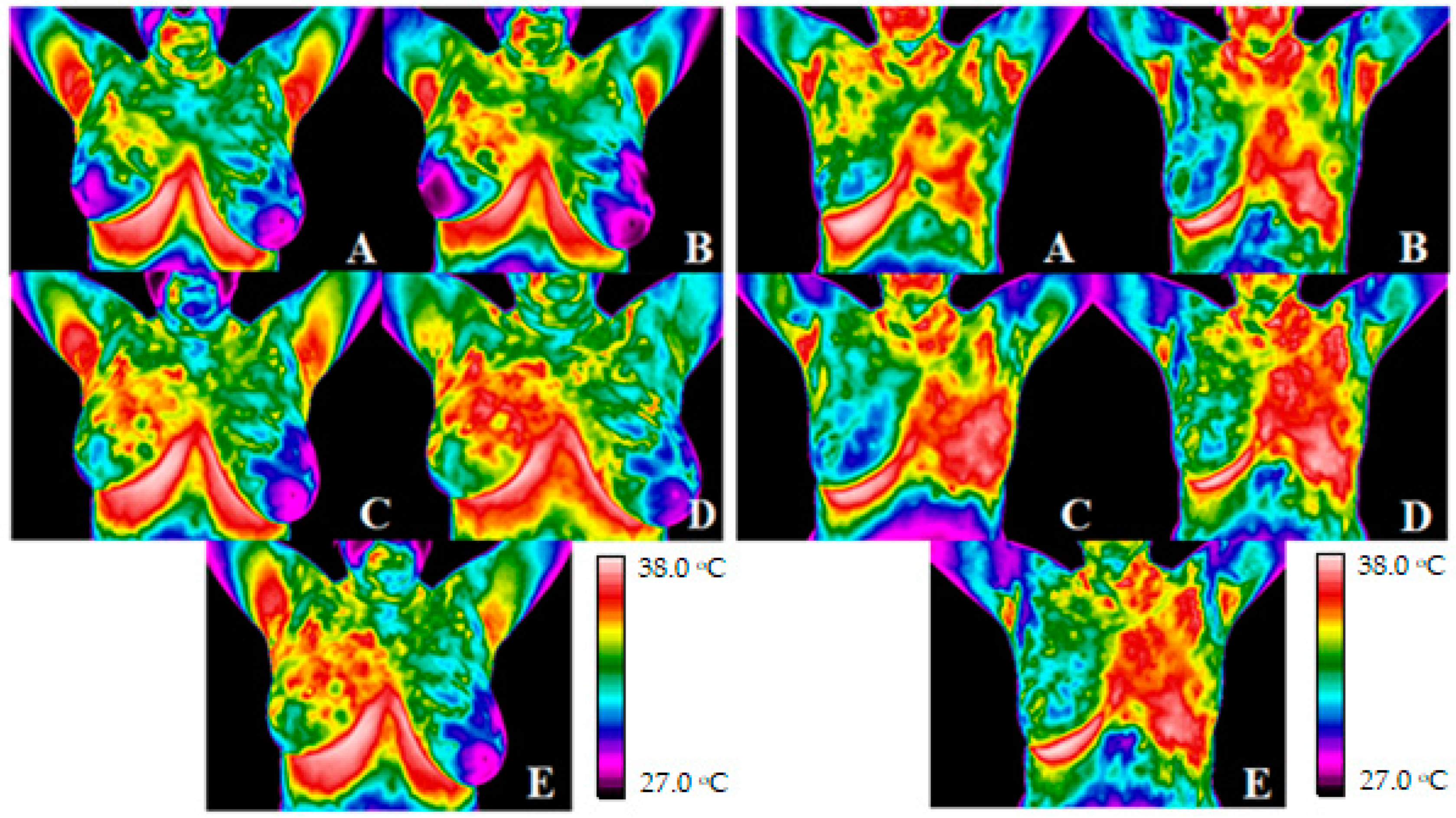 Ijerph 19 16085 g002