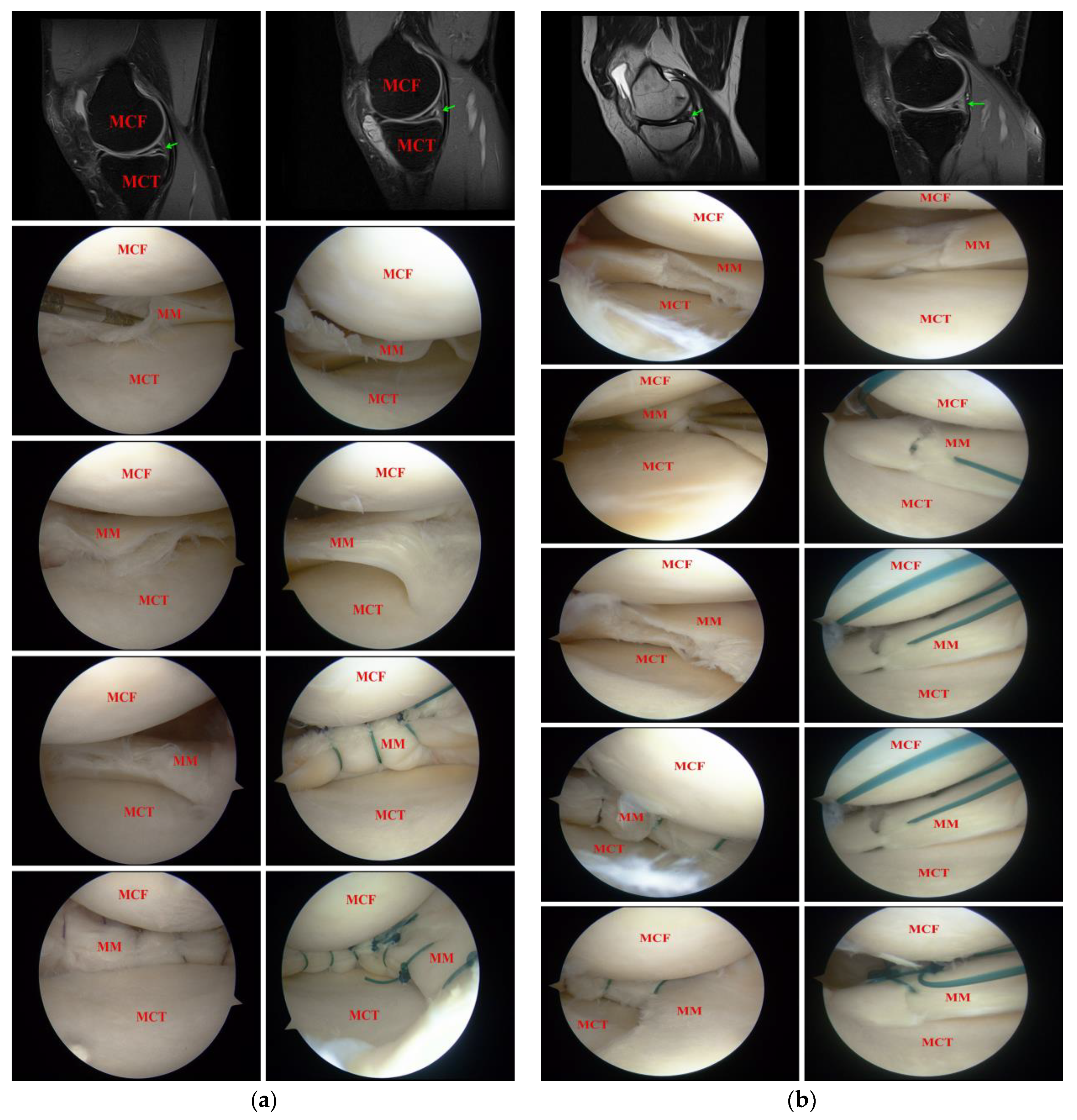 Ijerph 19 16127 g001