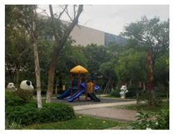 Ijerph 19 16178 i004