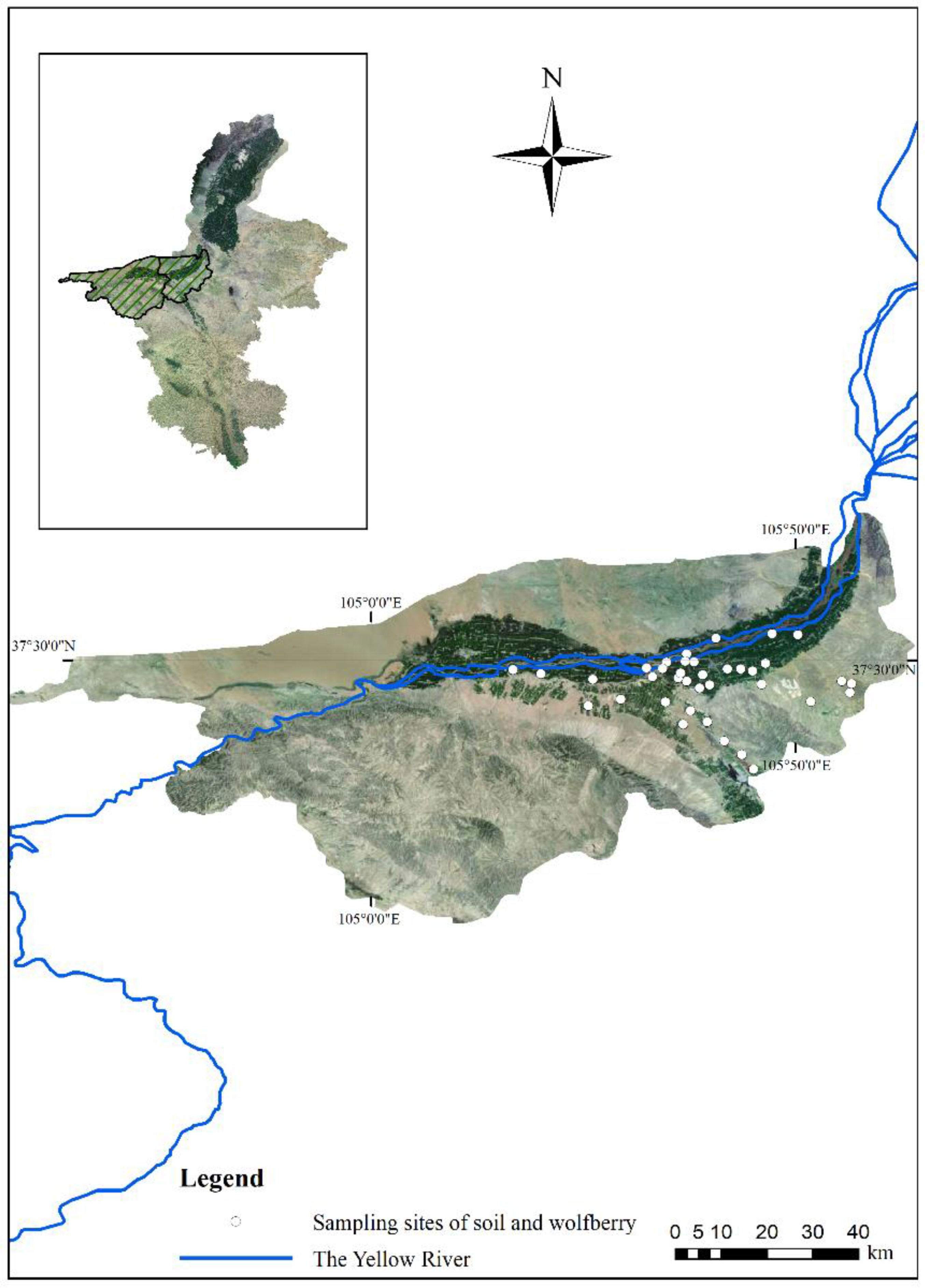 Potential Risk, Spatial Distribution, and Soil