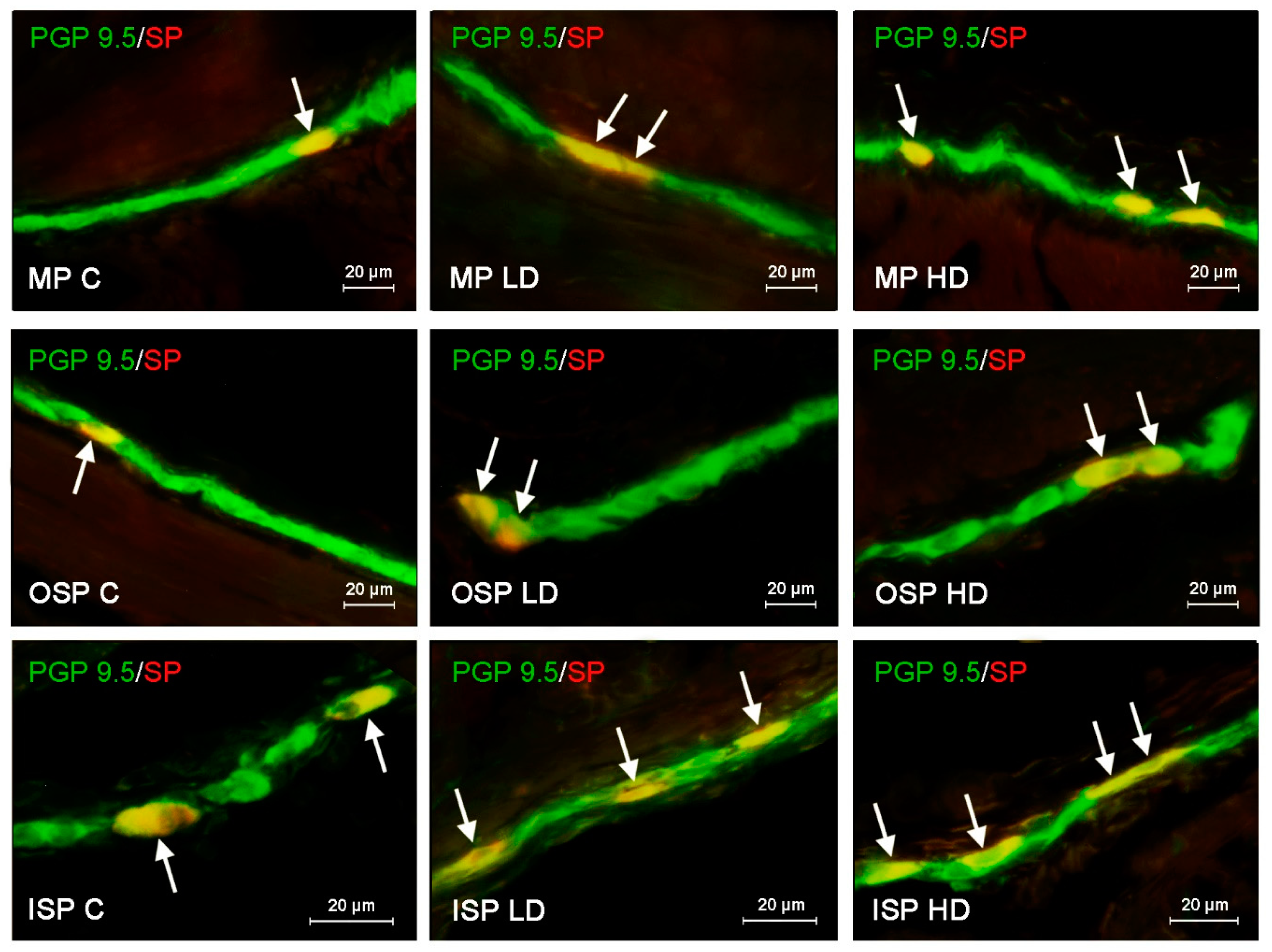 Ijerph 19 16187 g001 Ijerph 19 16187 g001