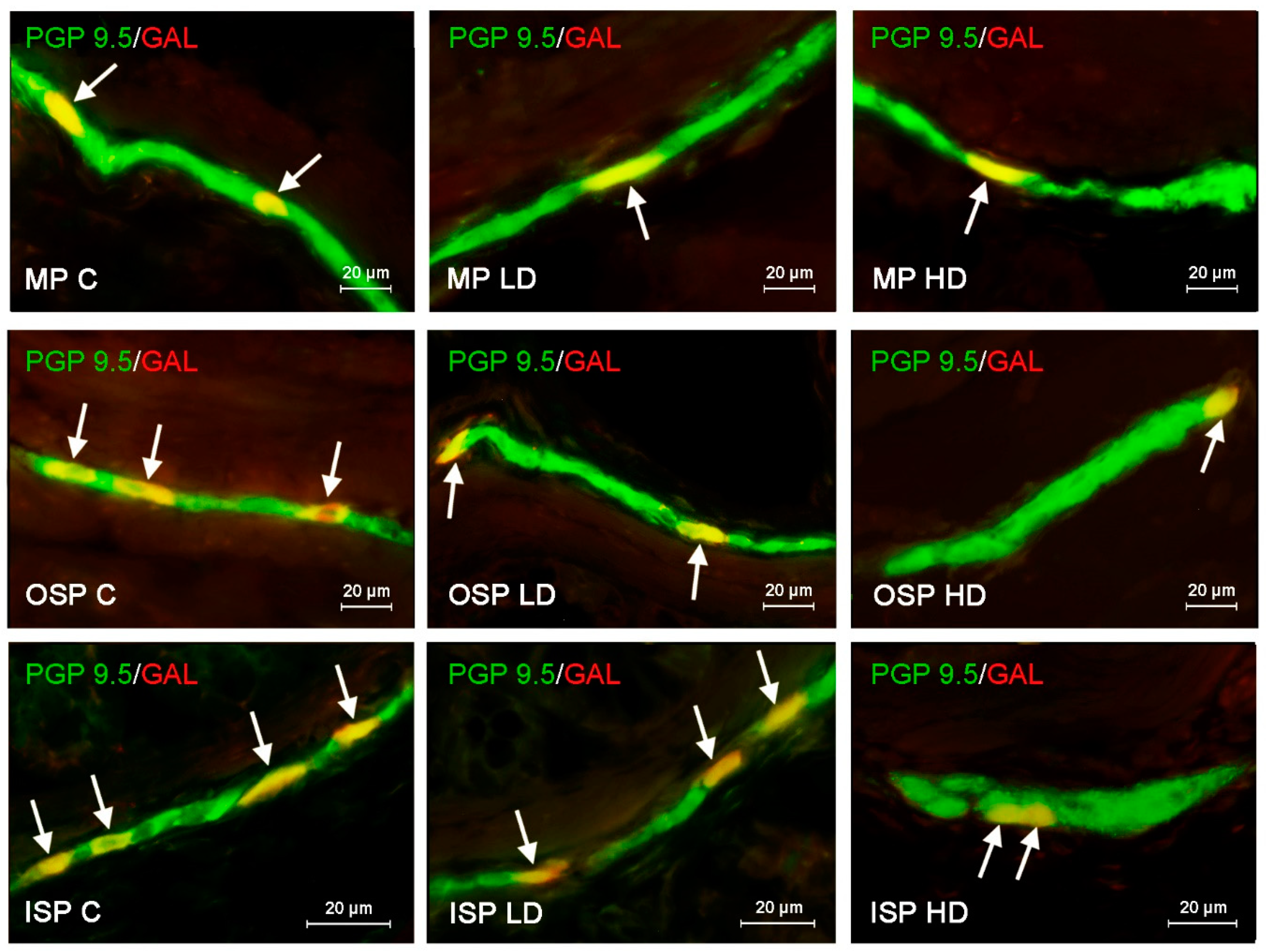 Ijerph 19 16187 g003 Ijerph 19 16187 g003