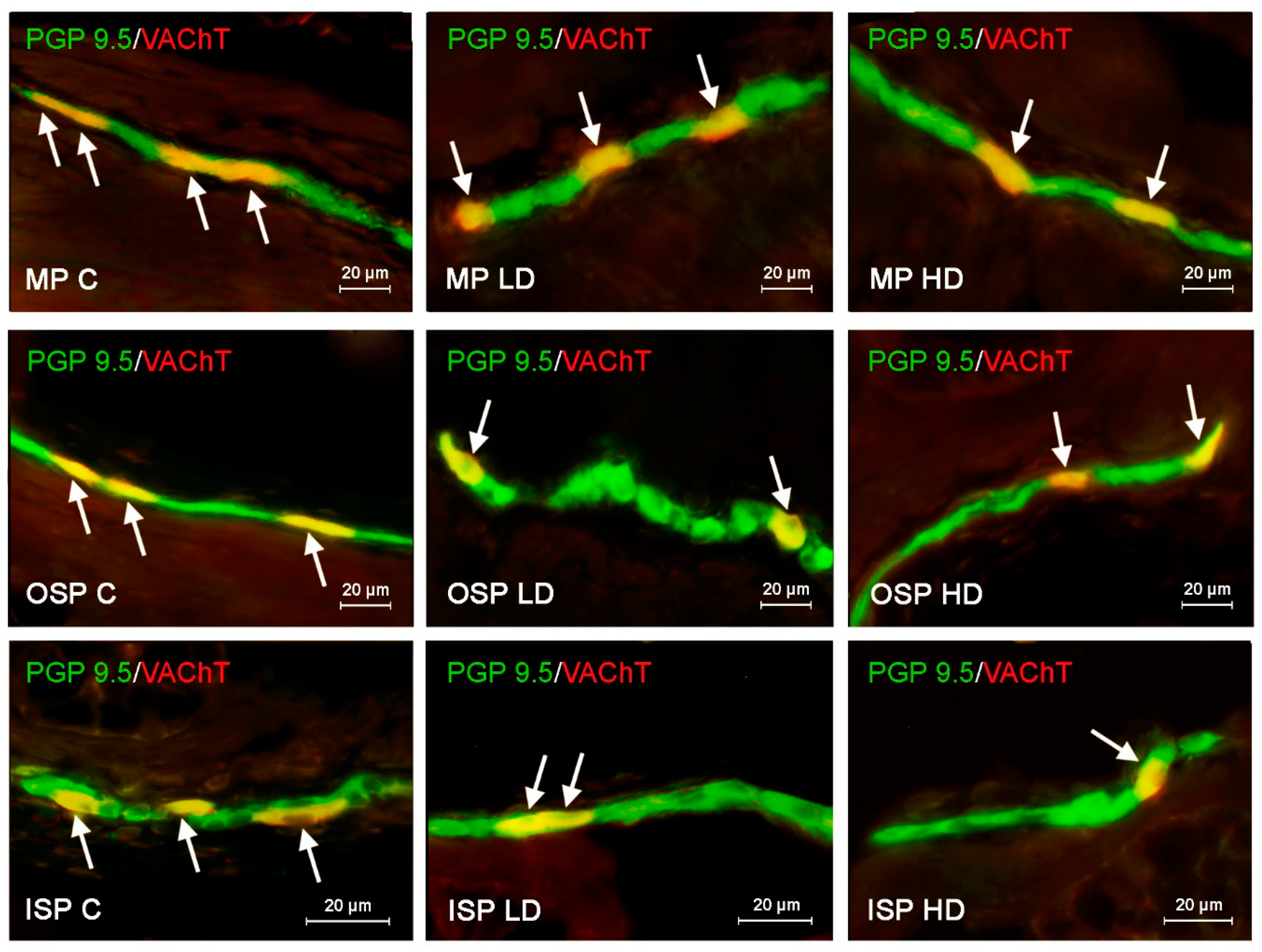 Ijerph 19 16187 g004 Ijerph 19 16187 g004