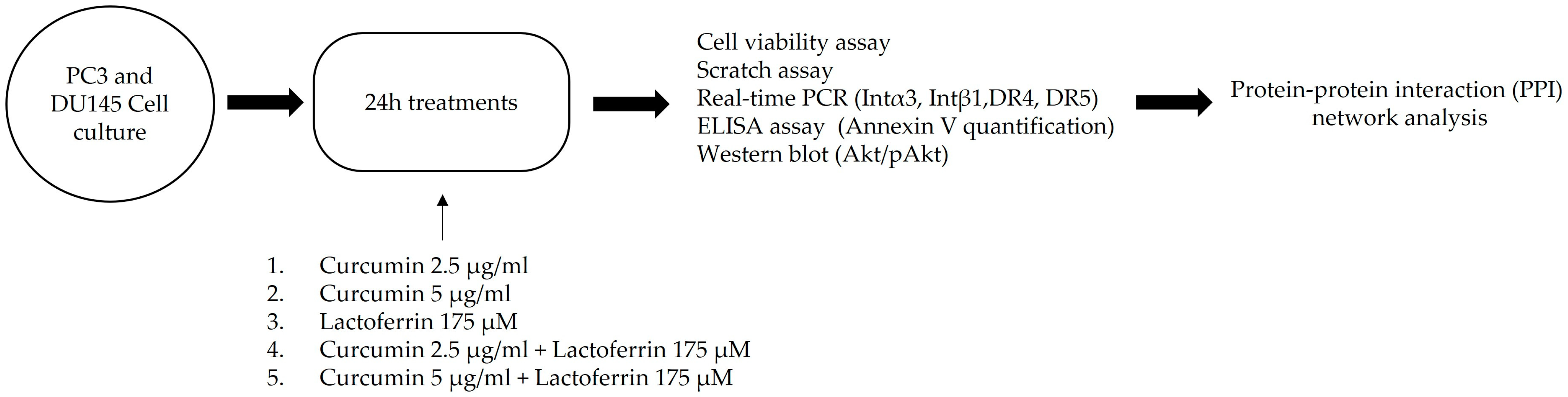 Ijerph 19 16193 g001