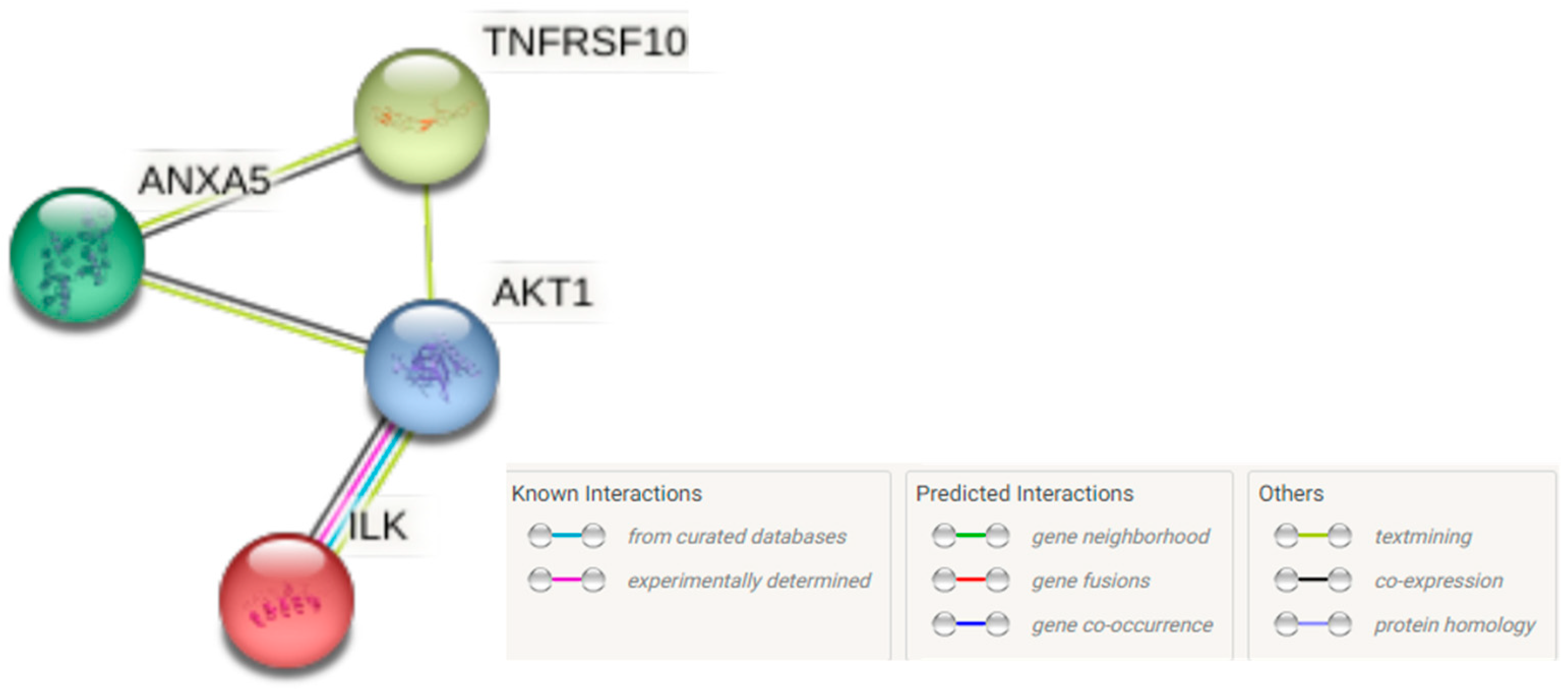 Ijerph 19 16193 g010