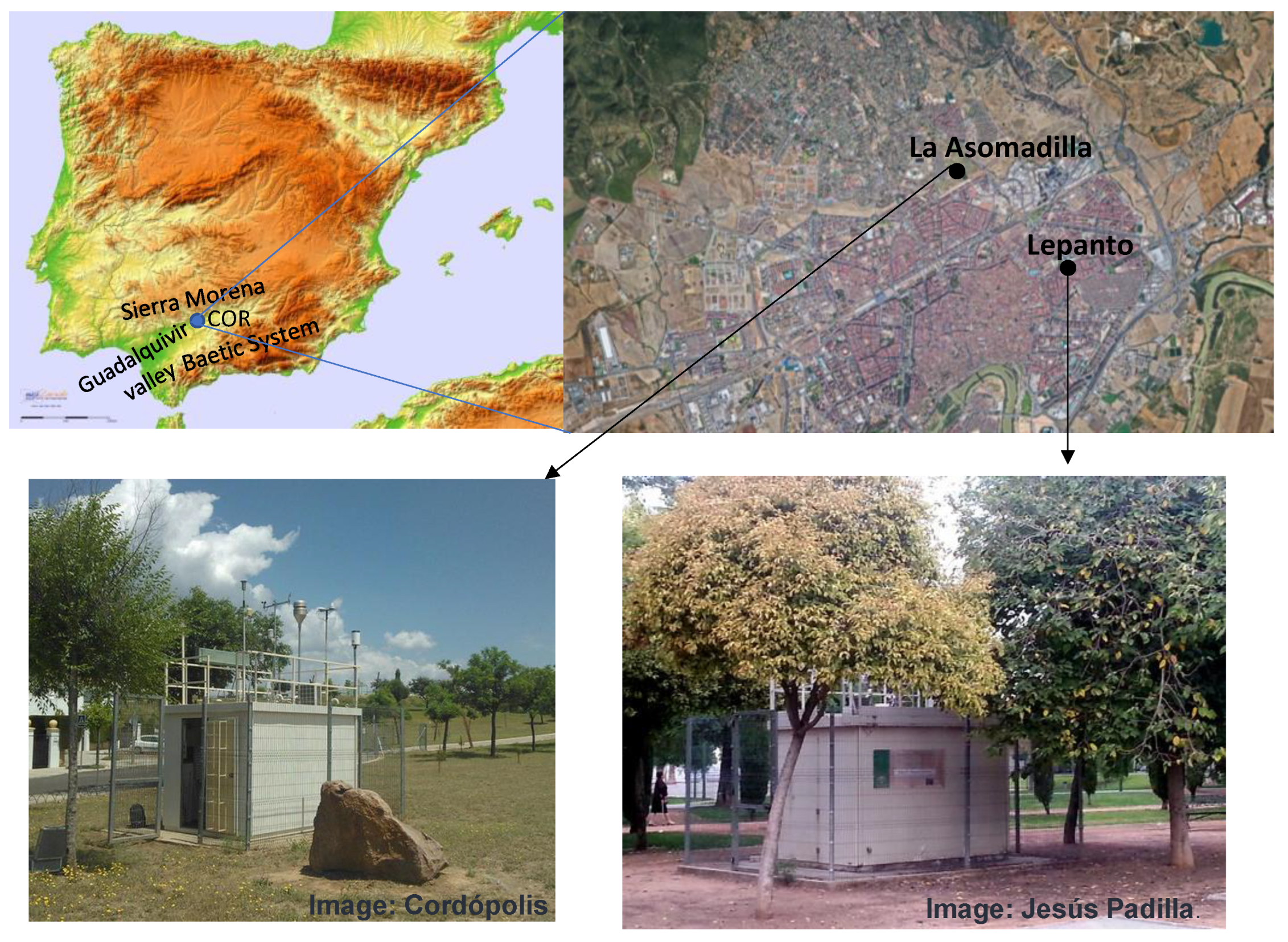 Ijerph 19 16210 g001