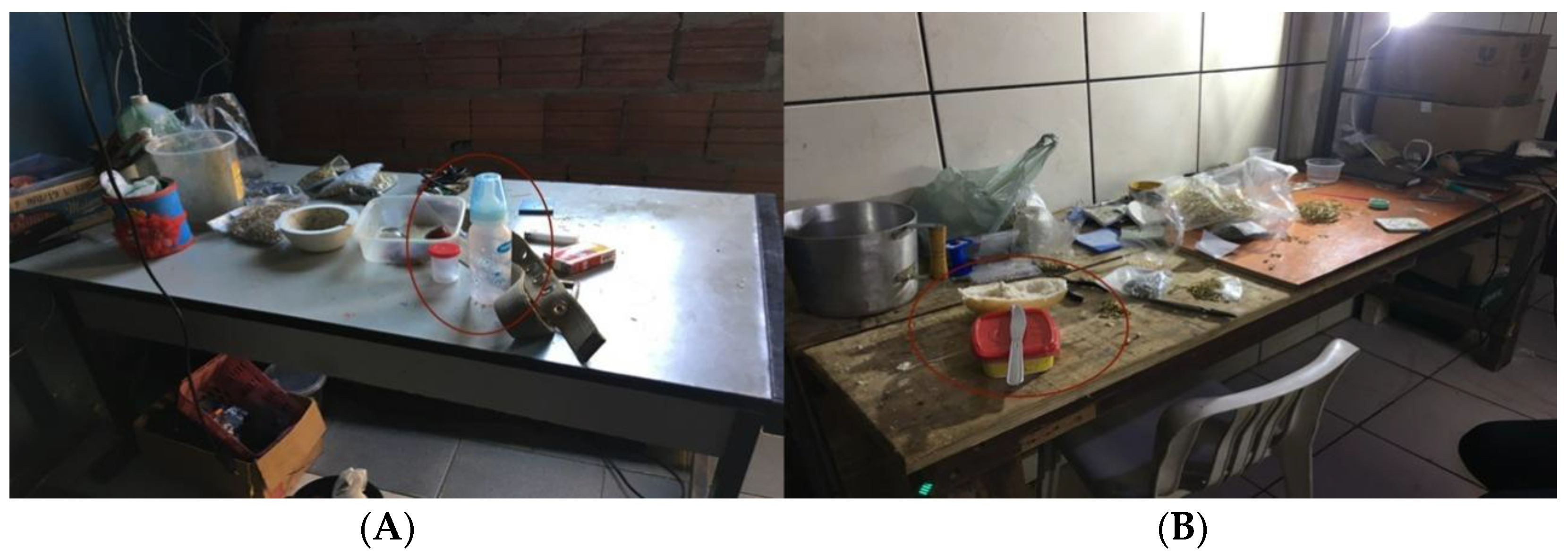 Ijerph 19 16236 g001