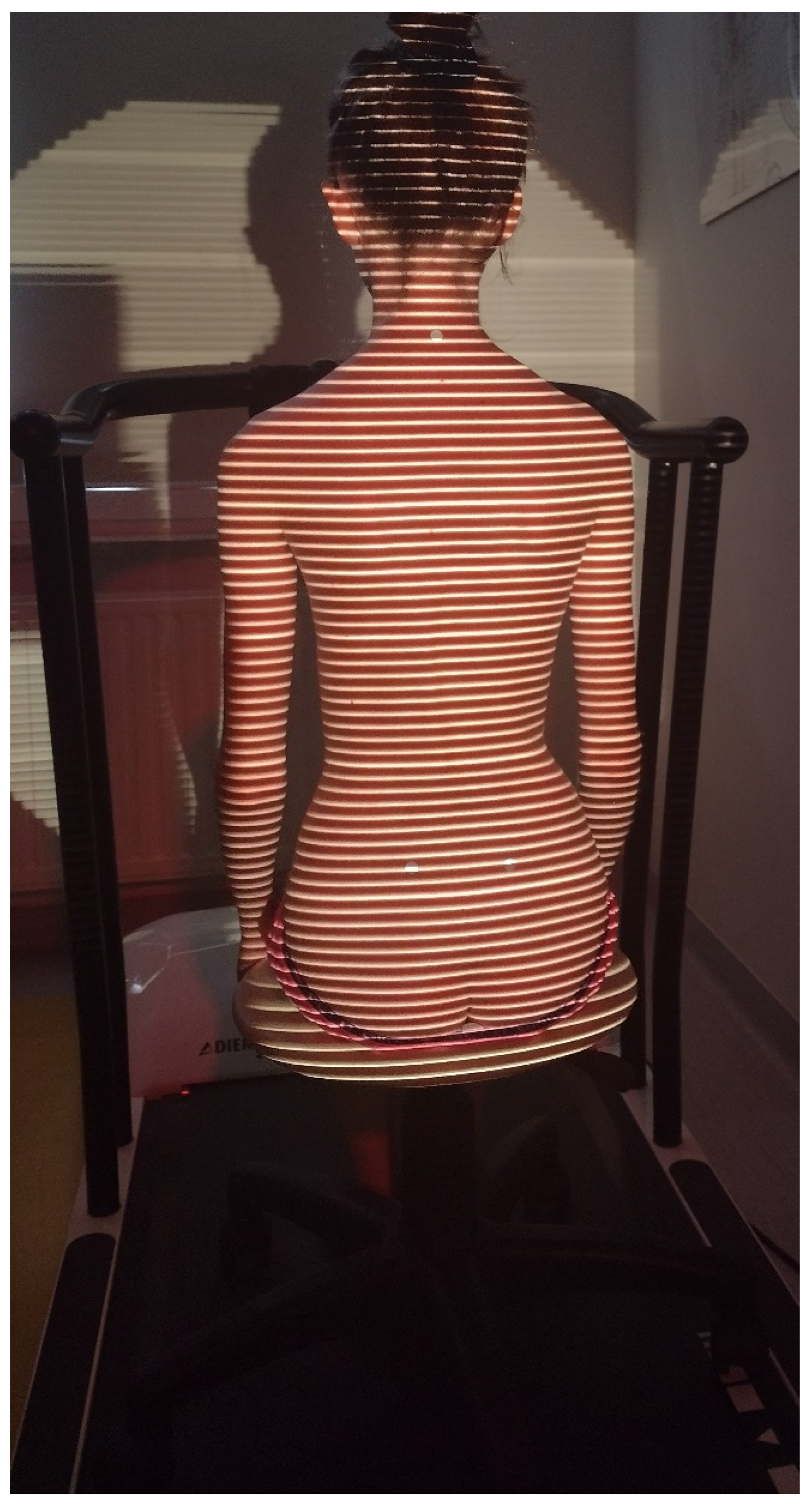 Ijerph 19 16287 g003 Ijerph 19 16287 g003