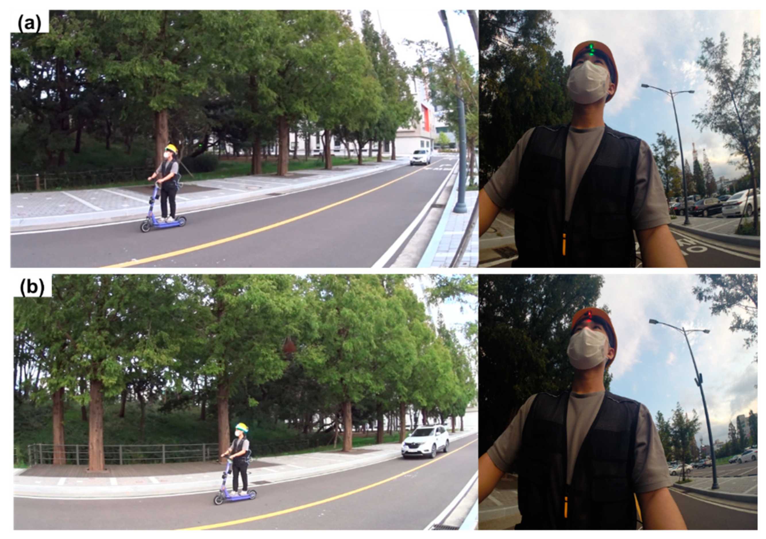 Ijerph 19 16312 g012