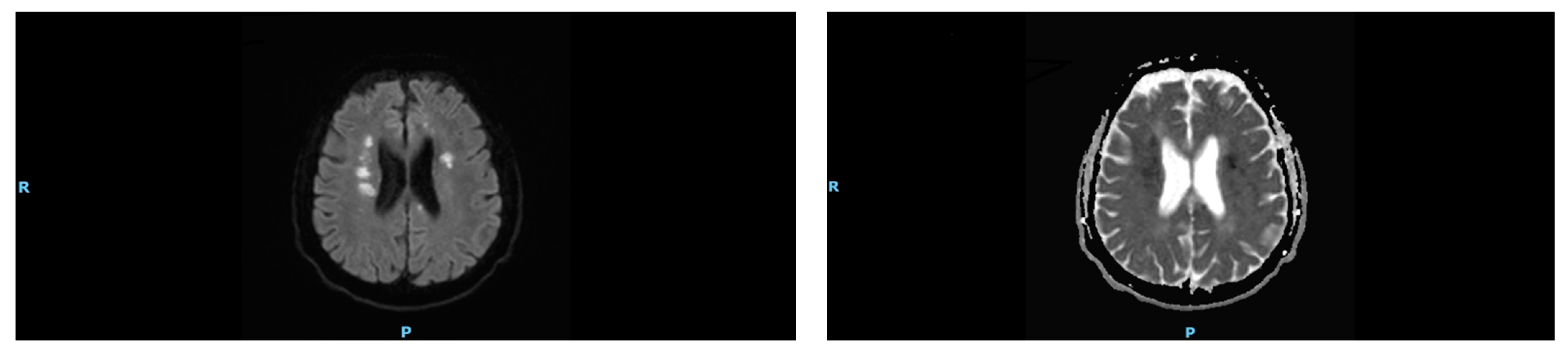 Ijerph 19 16329 g001 550