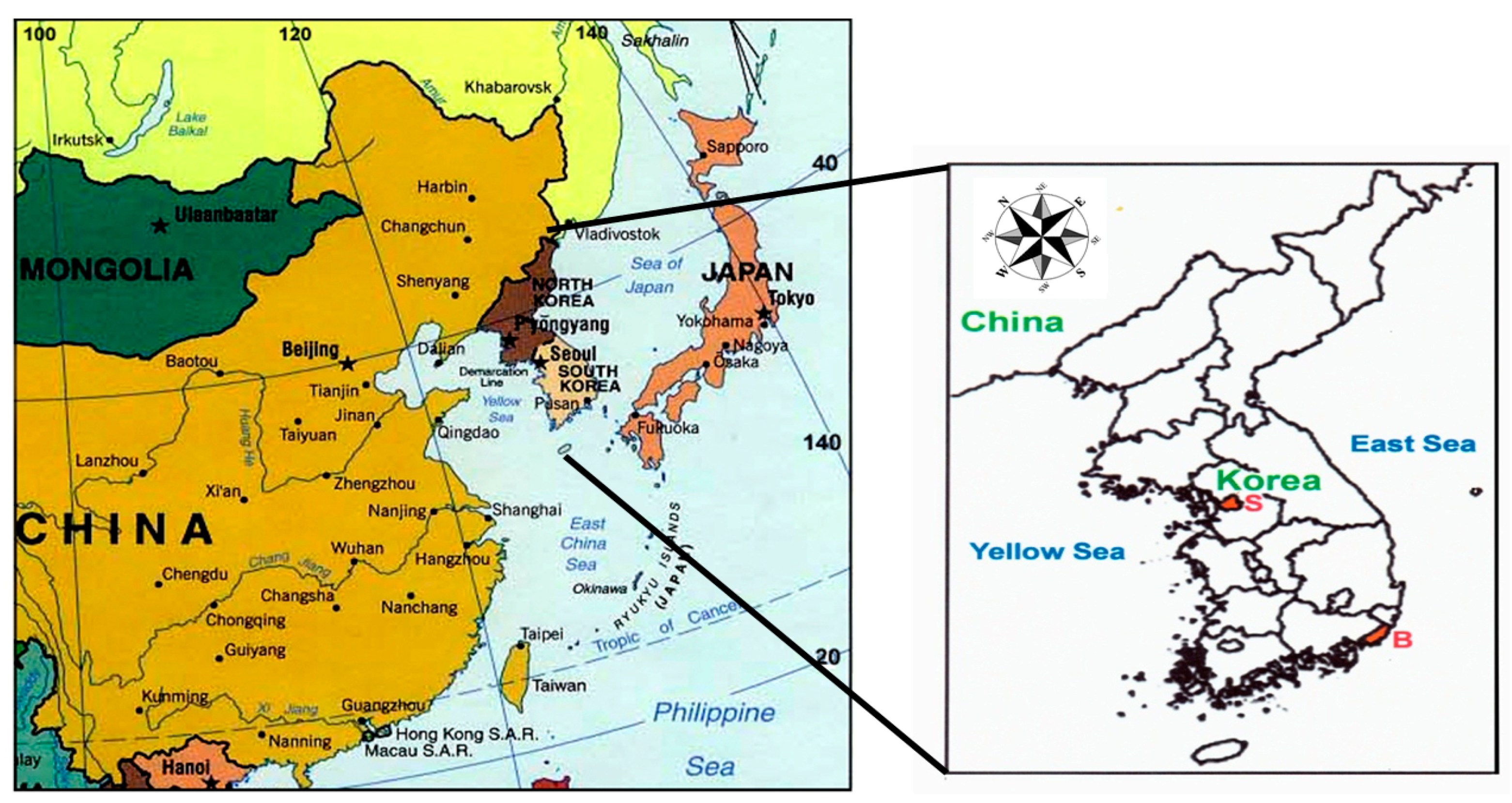 Ijerph 19 16338 g001 Ijerph 19 16338 g001