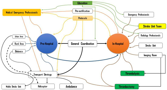 Organizational Factors Determining Access to Reperfusion Therapies
