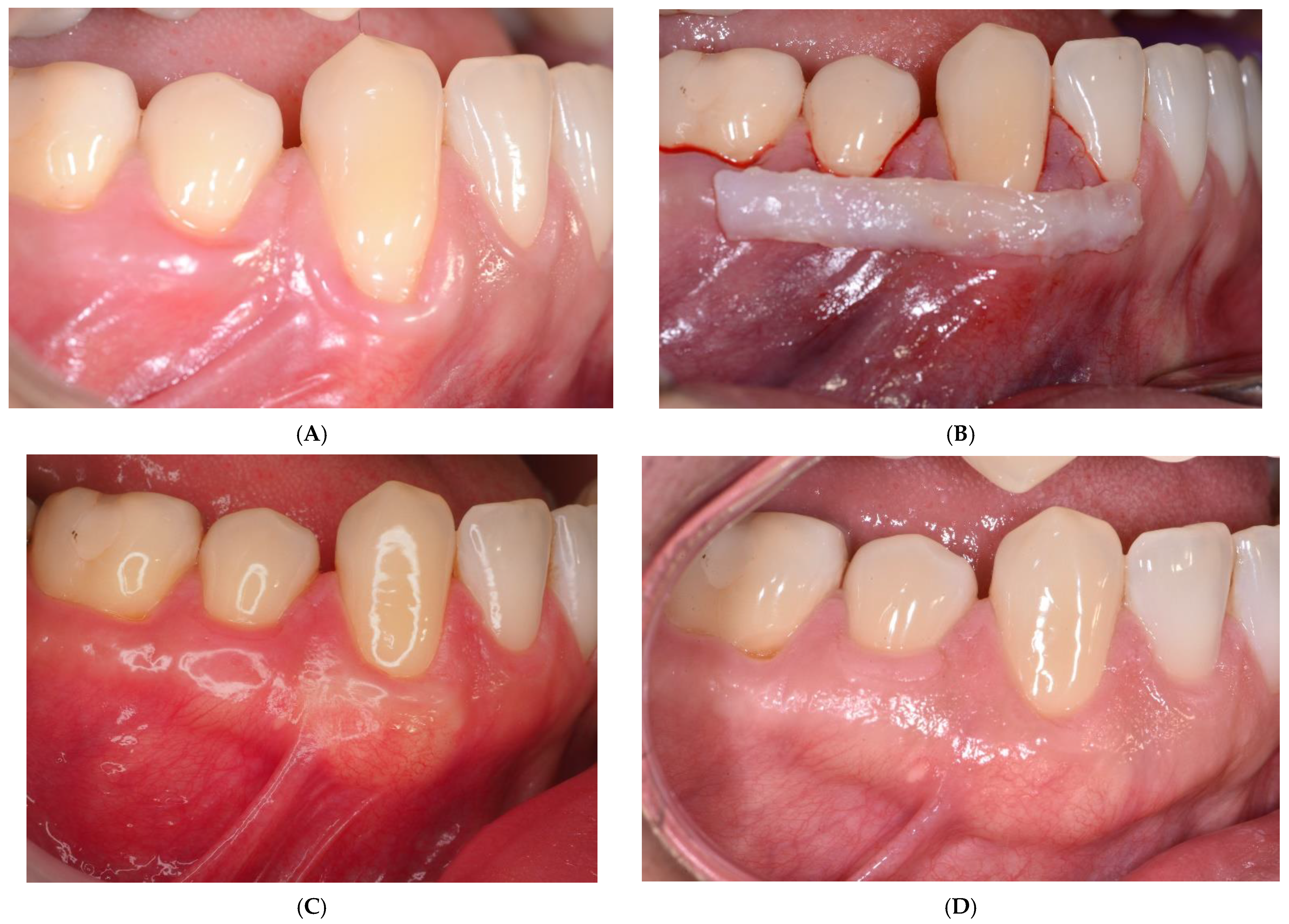 Ijerph 19 16444 g001a